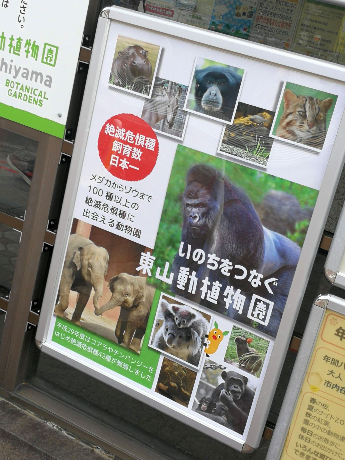 絶滅危惧種飼育数日本一