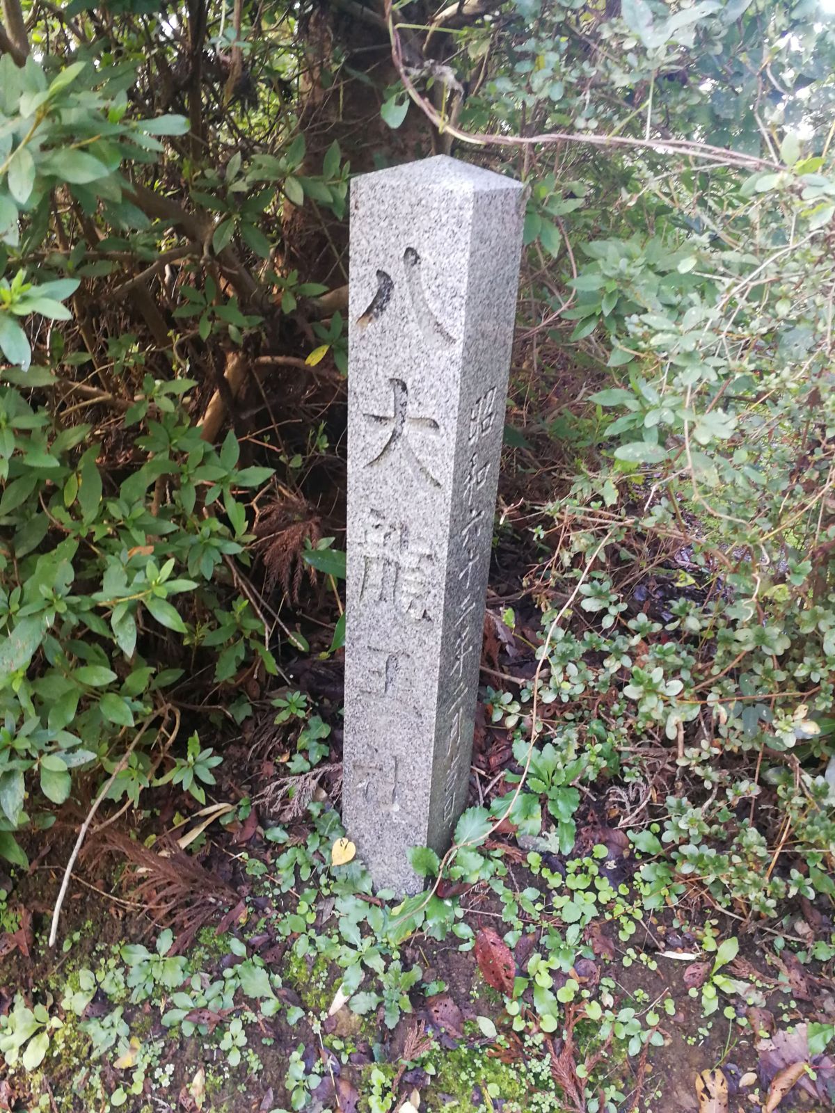八大龍王社