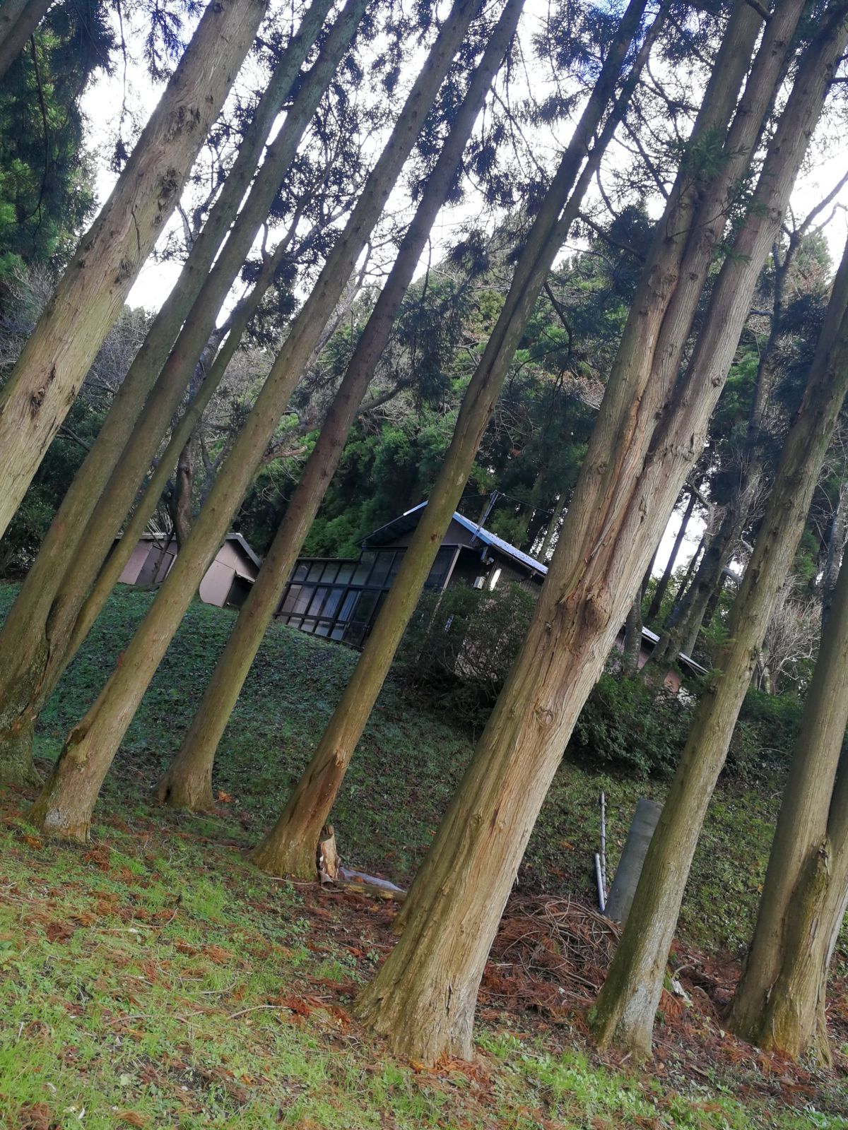建物の外観
