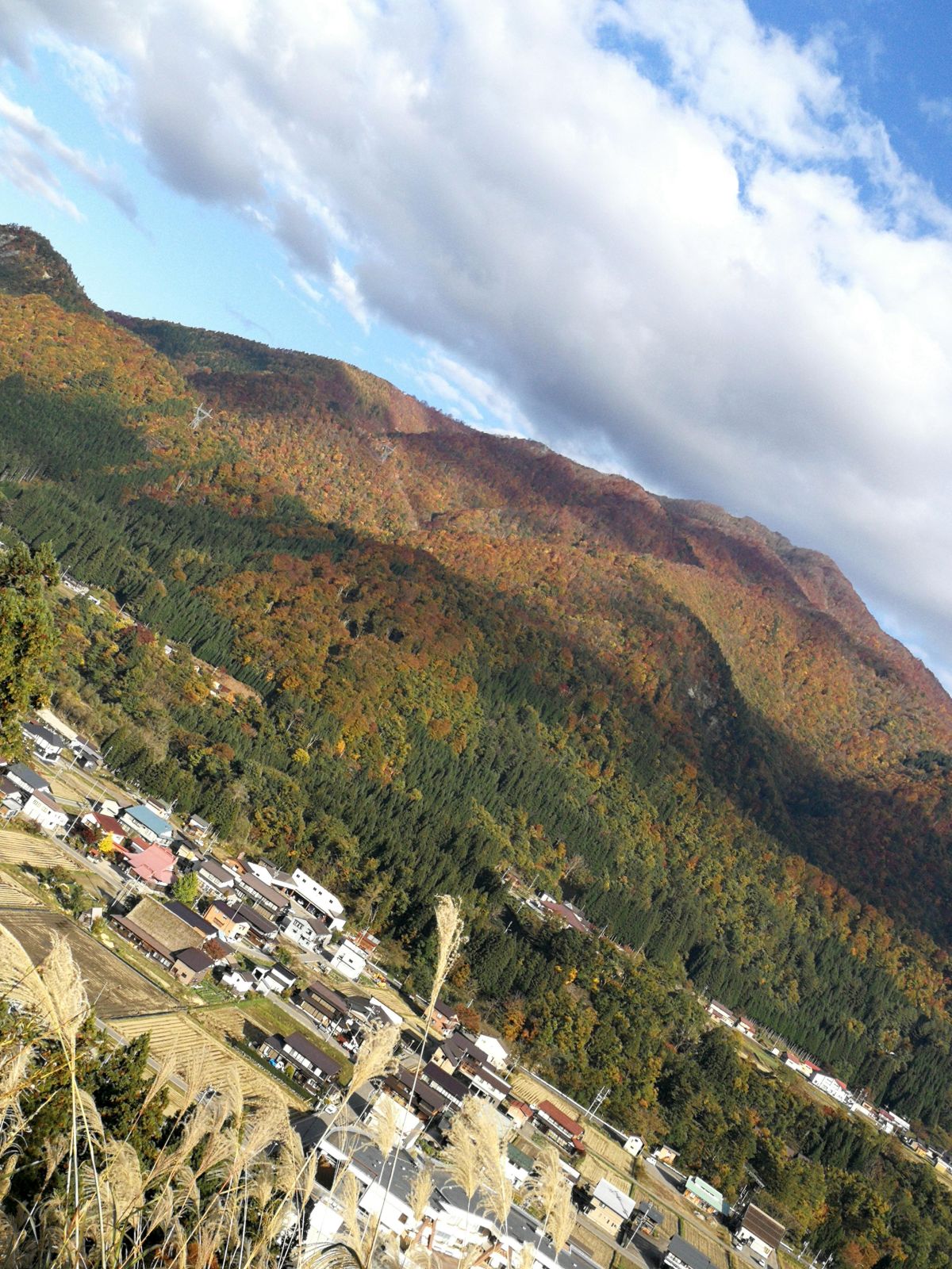 山の紅葉