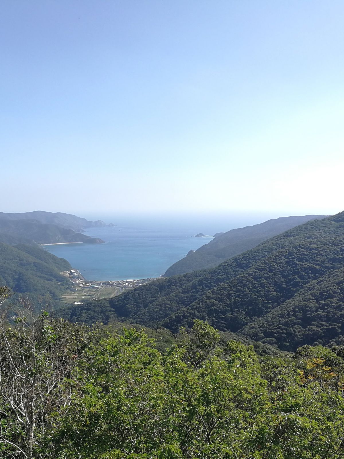 油井岳からの風景