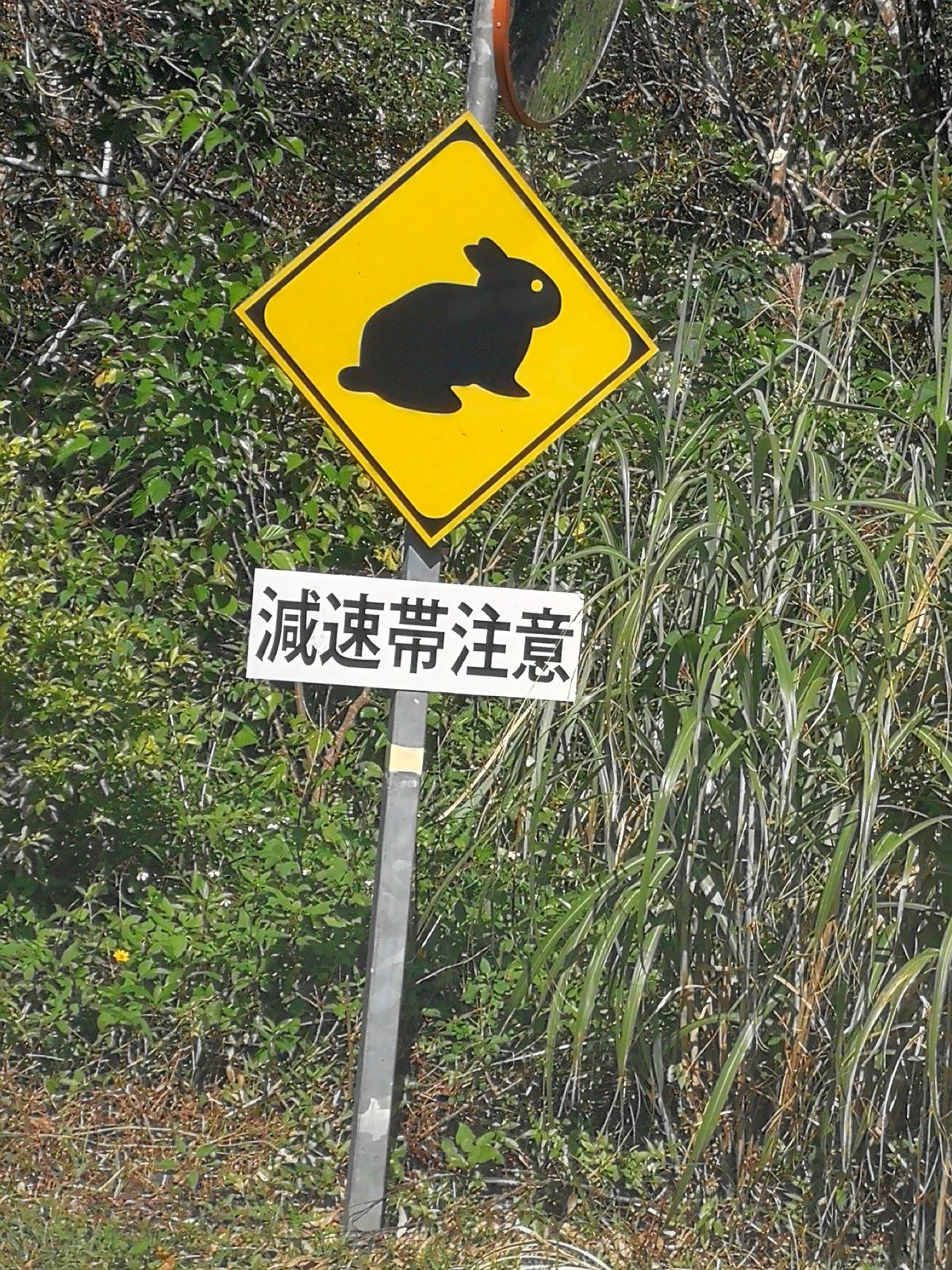 注意標識
