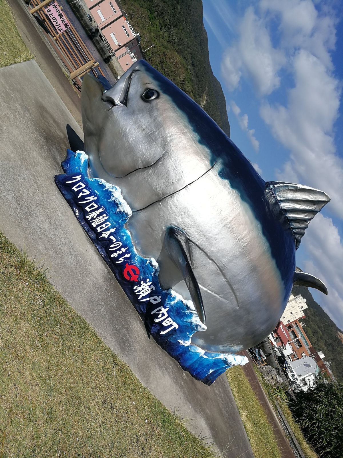 クロマグロ養殖日本一