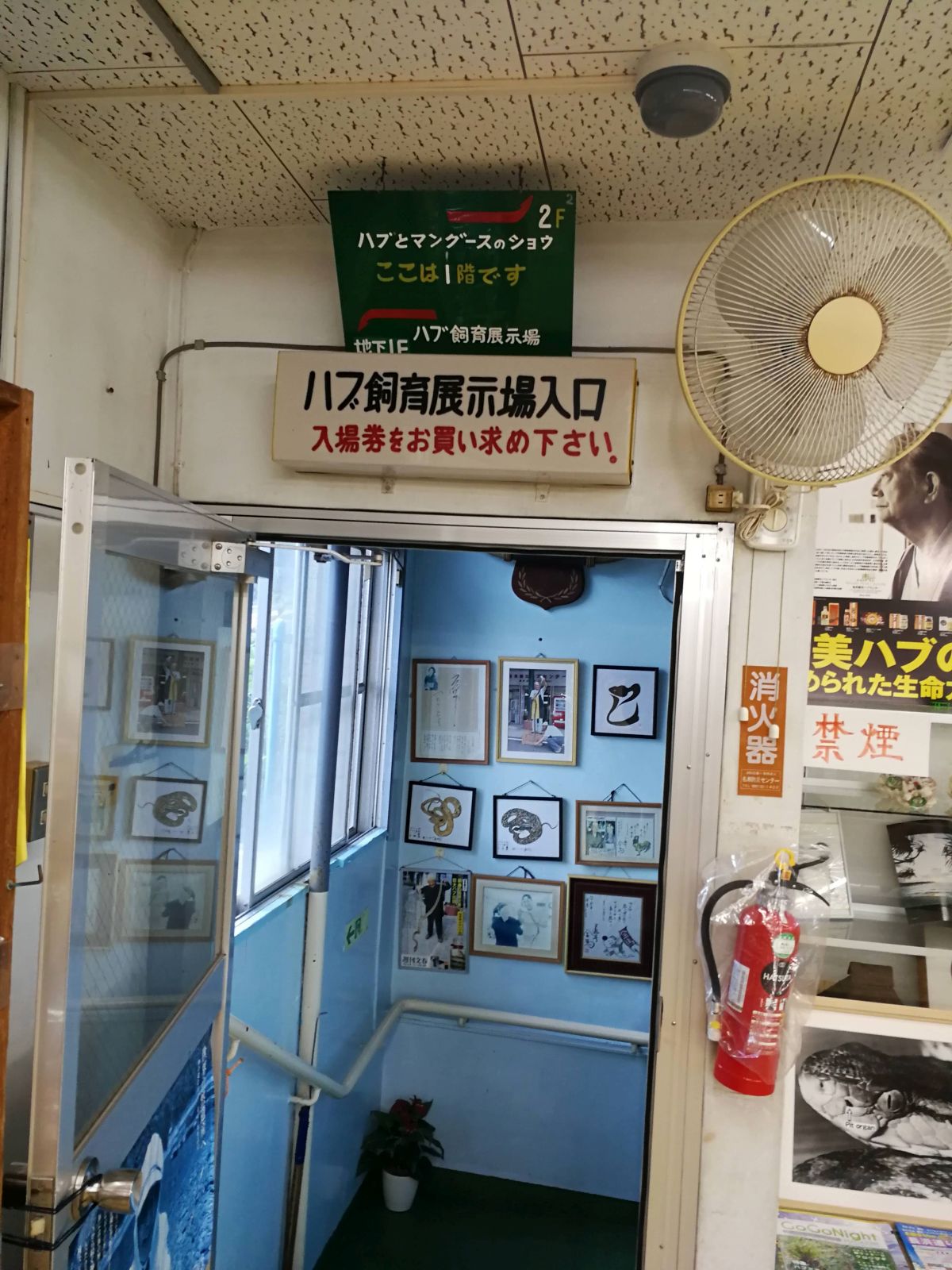 ハブ飼育展示場入口