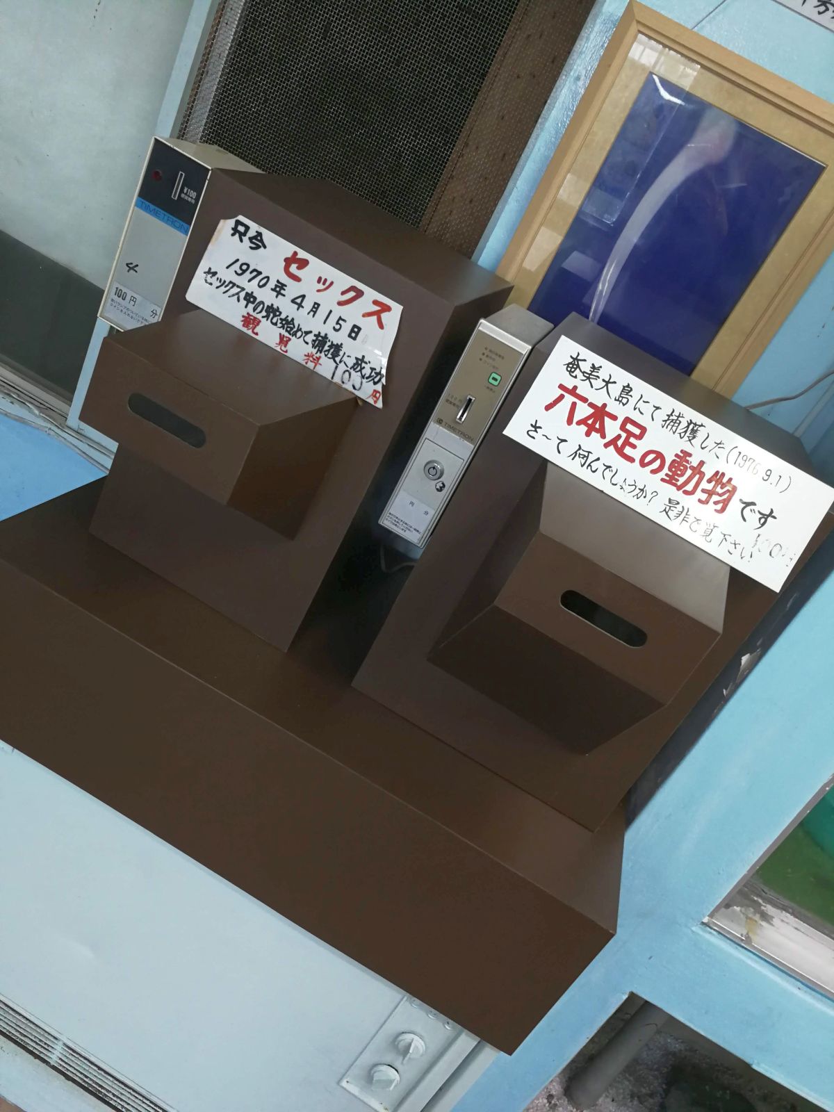 有料映像視聴機