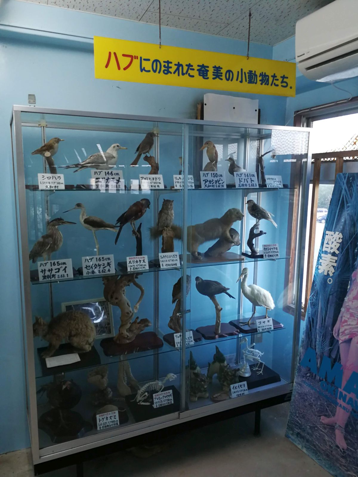 ハブにのまれた奄美の小動物たち。