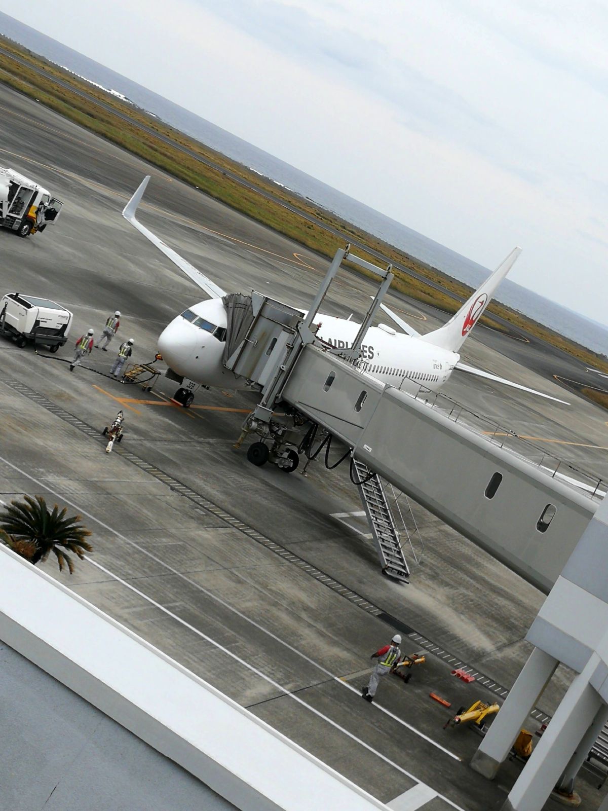 お帰り飛行機