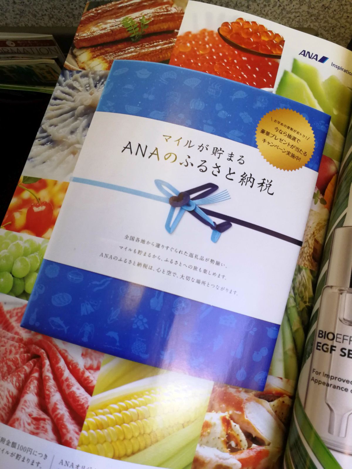 ANAのふるさと納税
