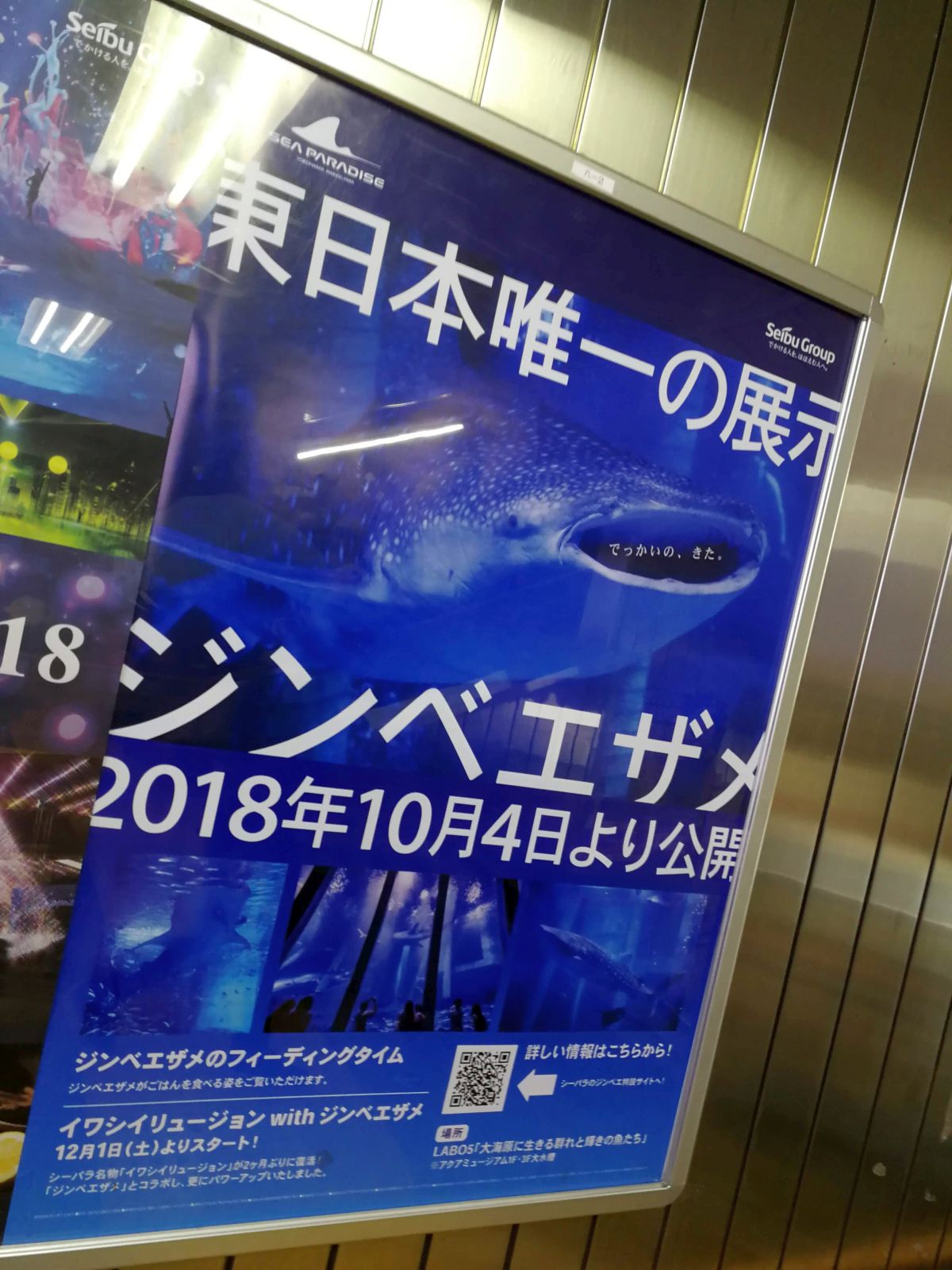 西日本唯一の展示