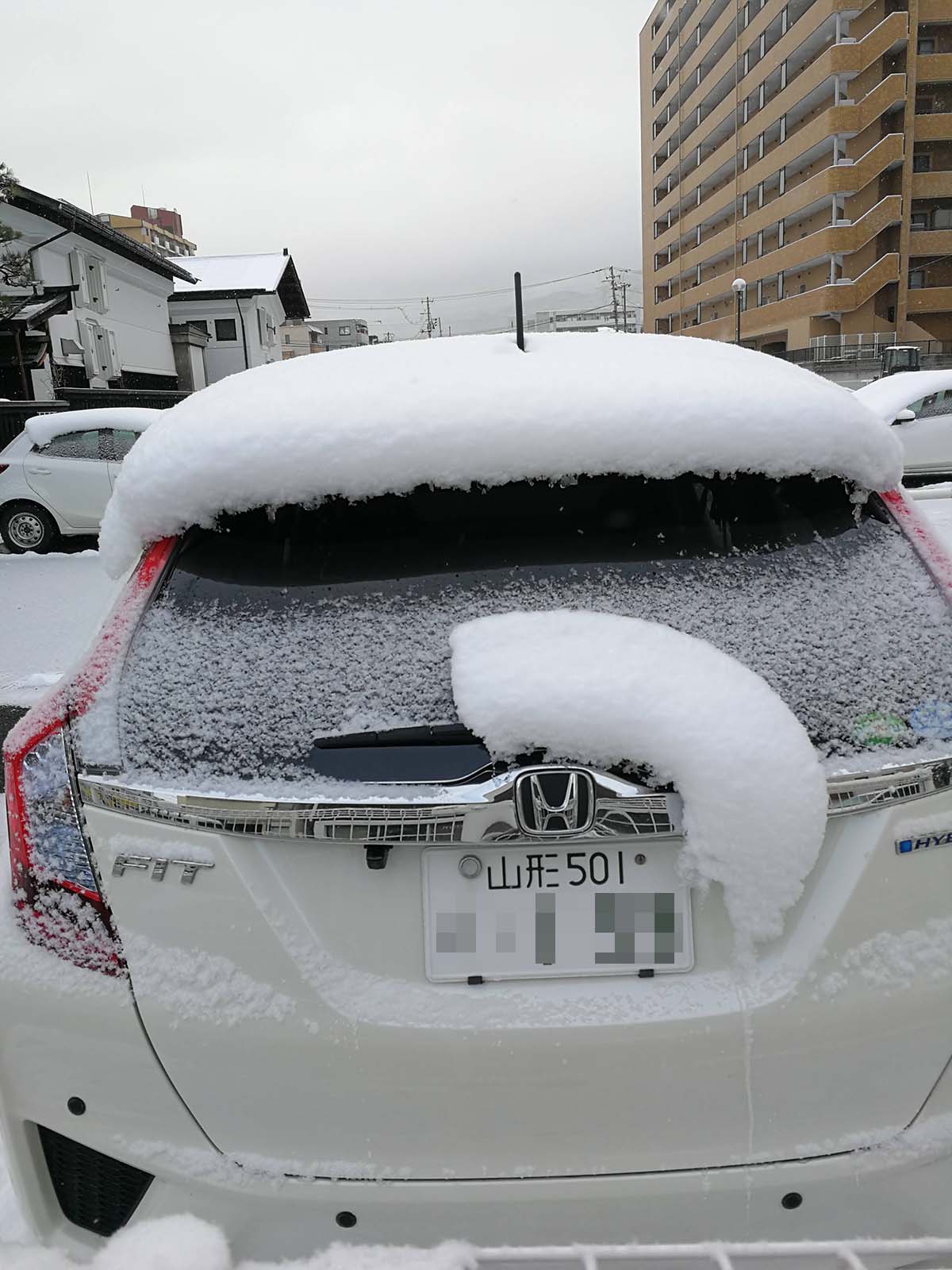 山形の積雪