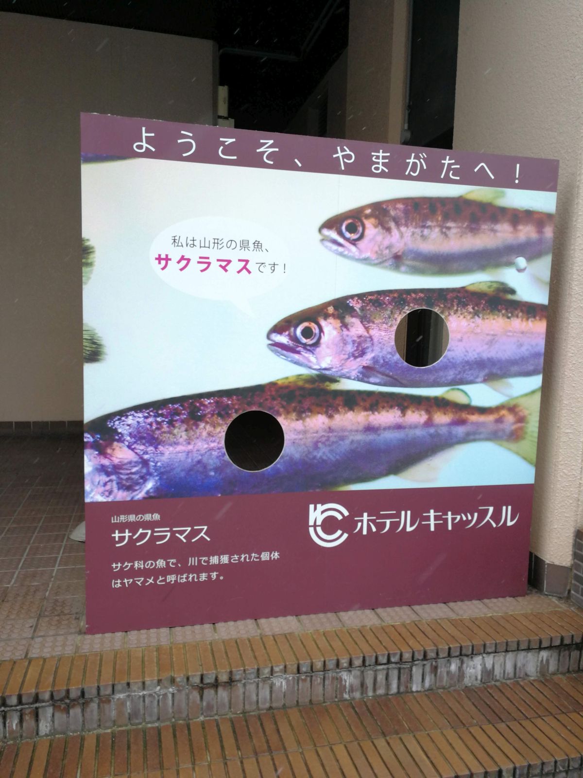 顔出し看板