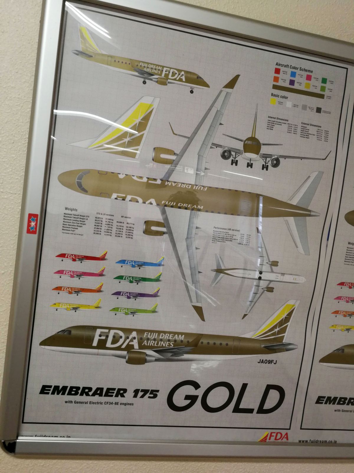 金のFDA