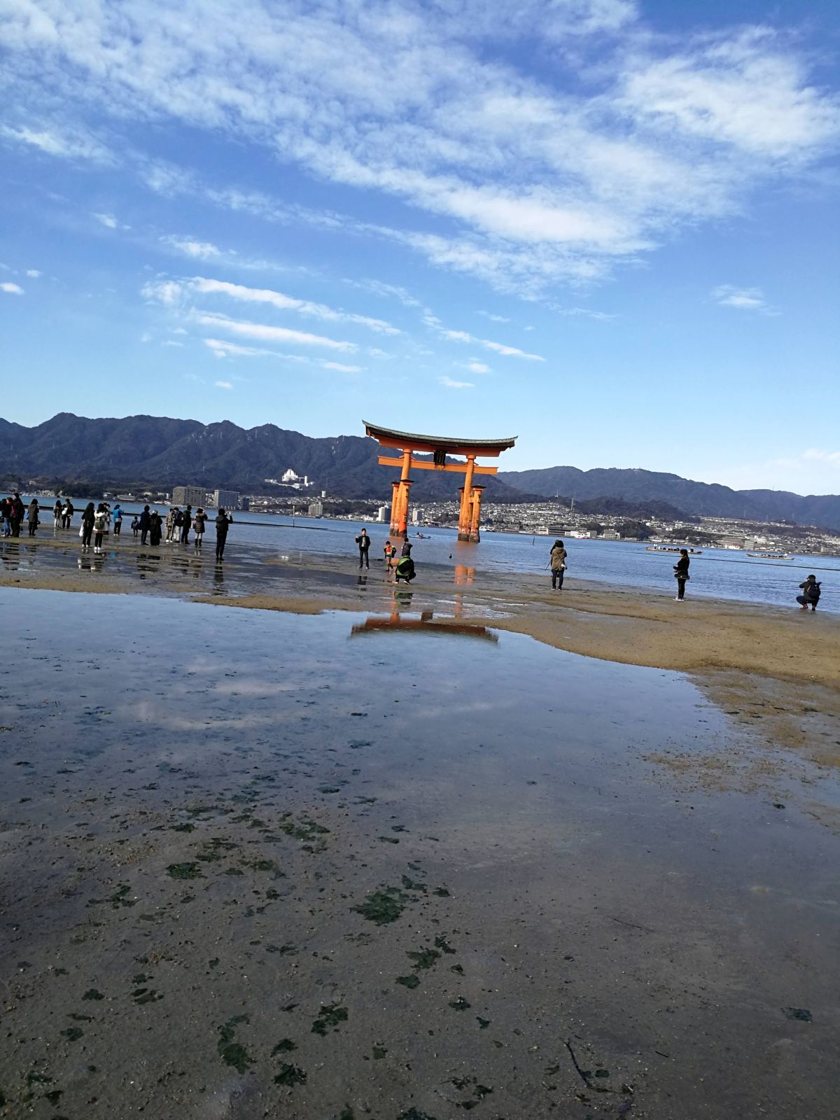 厳島神社の鳥居