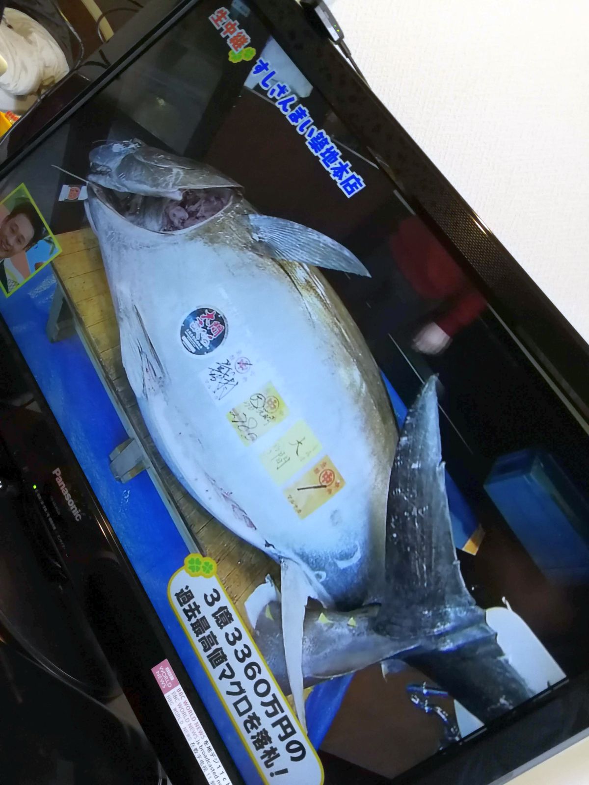 マグロの実物