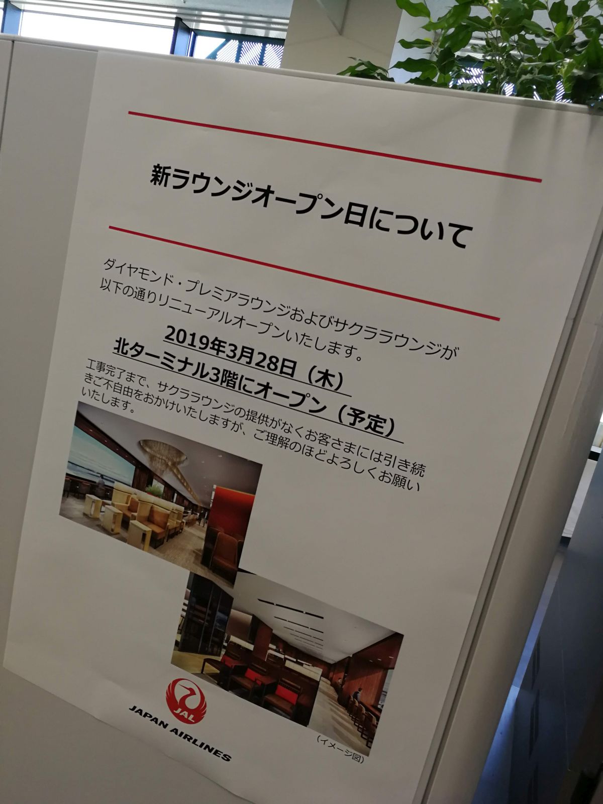 新ラウンジオープン日について