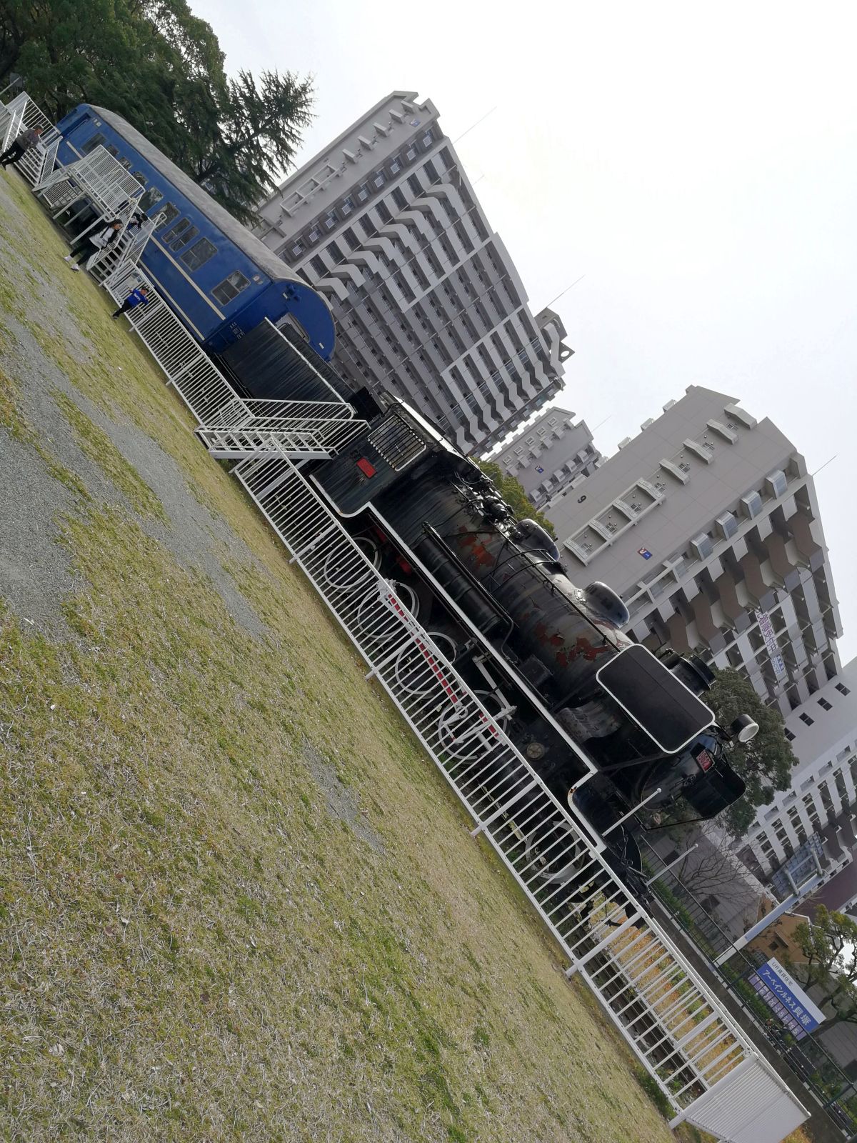 野外展示