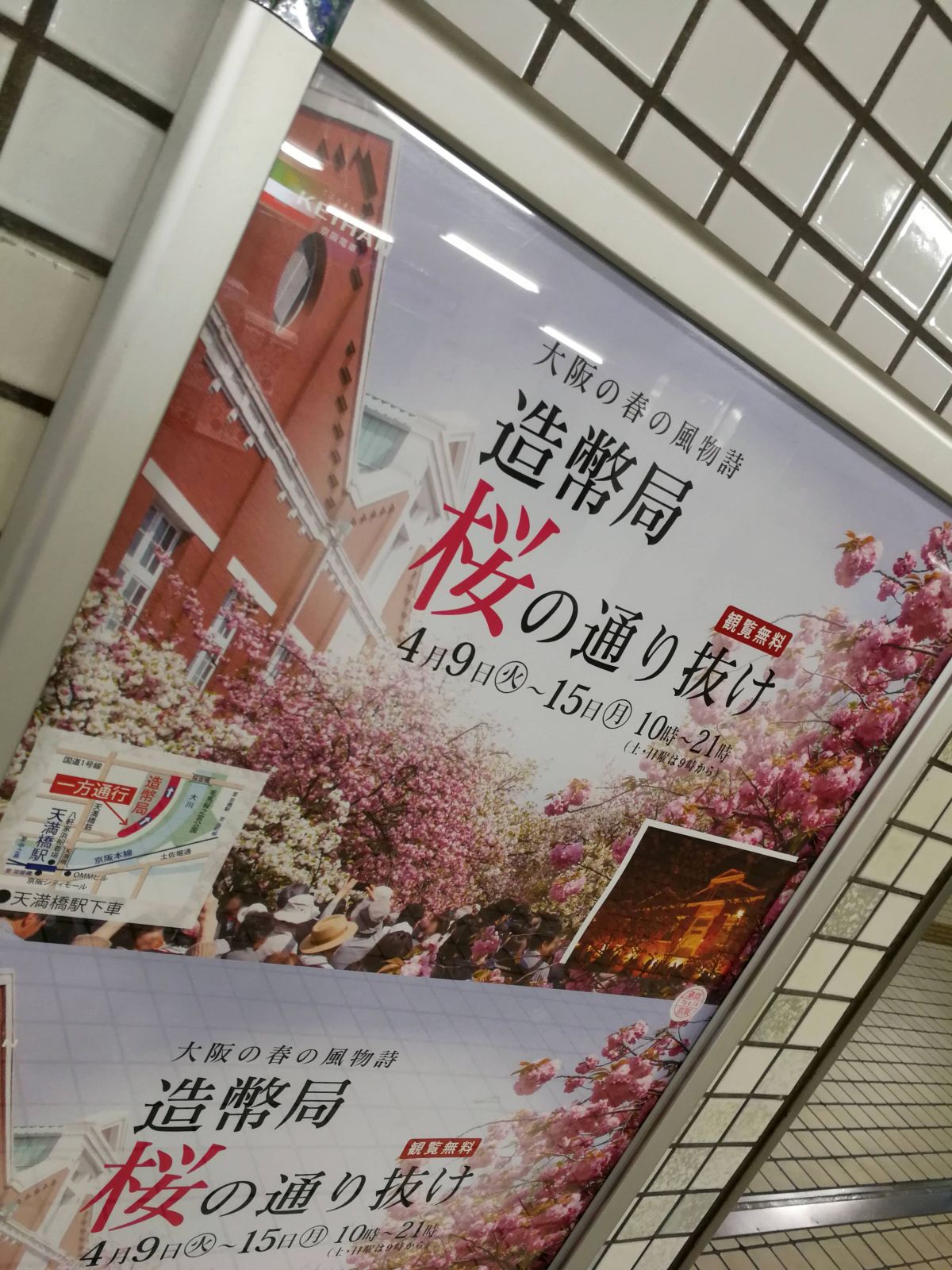 造幣局桜の通り抜け