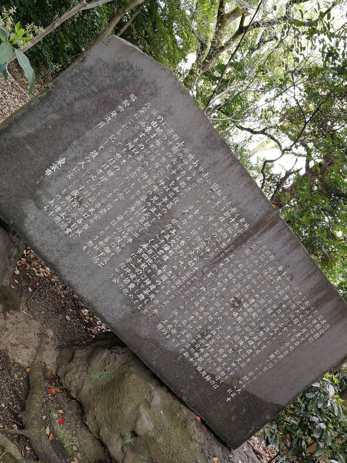 清澄公園とは