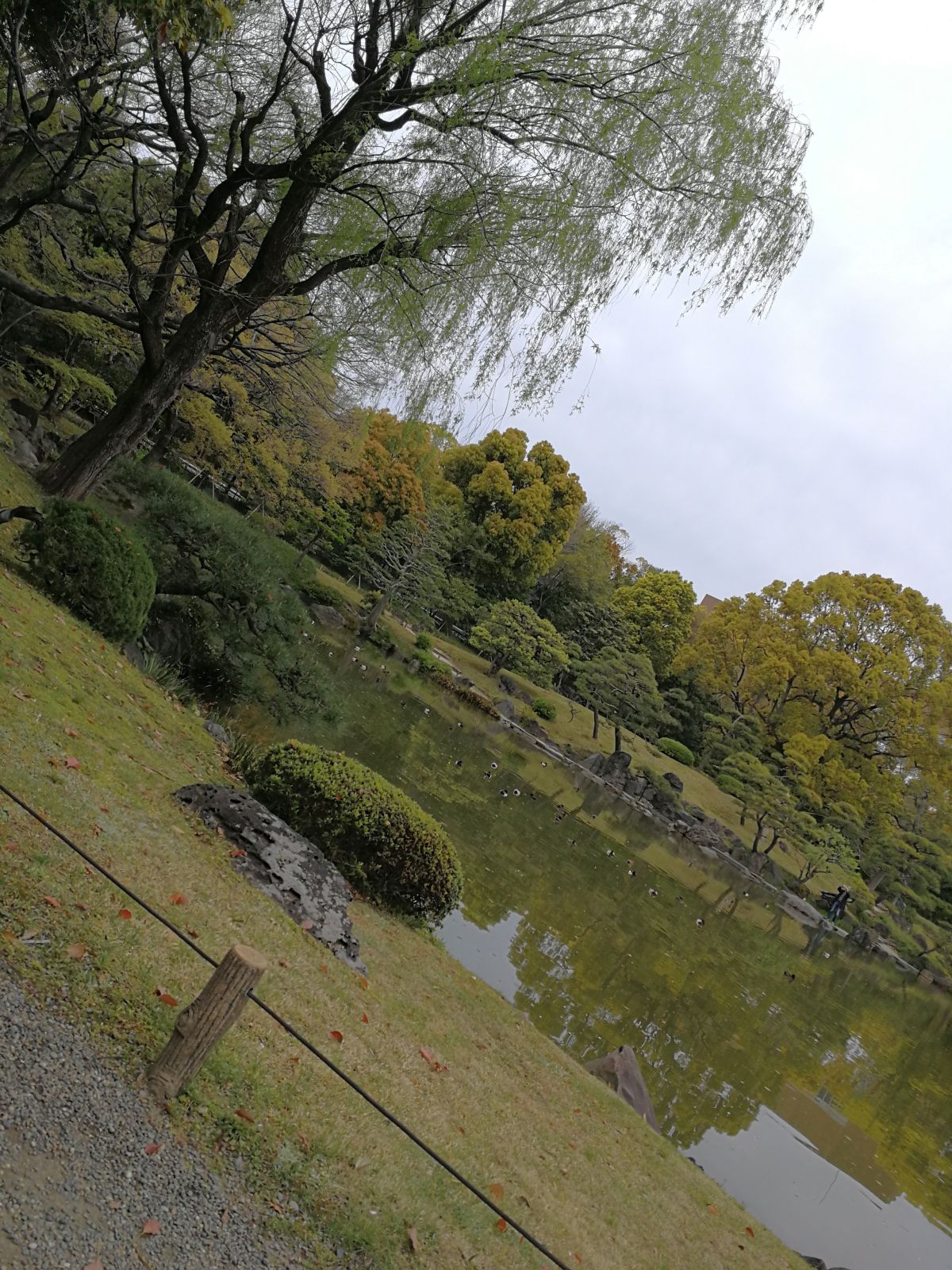 庭園の様子