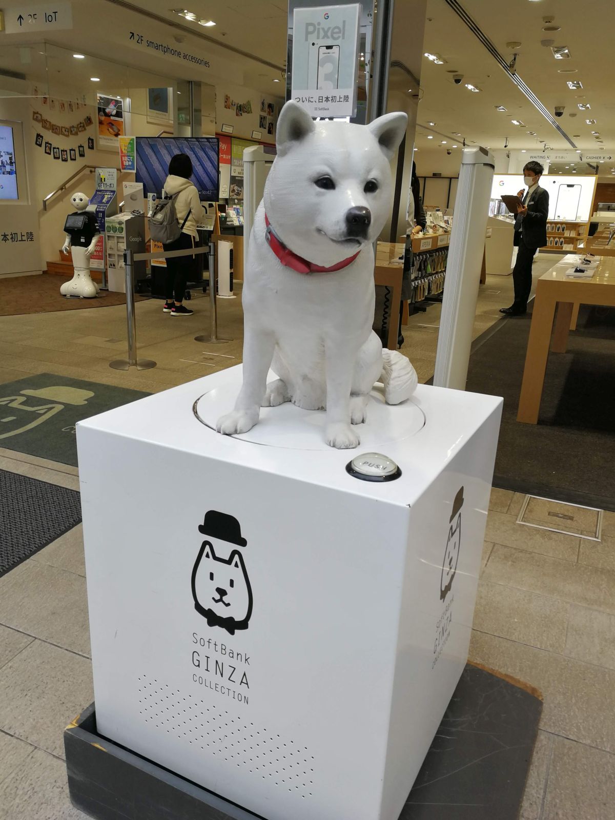 銀座の犬