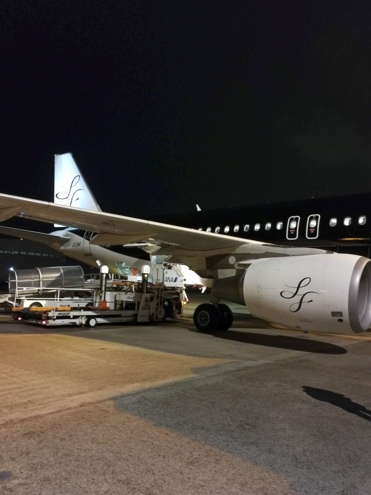 本日の飛行機