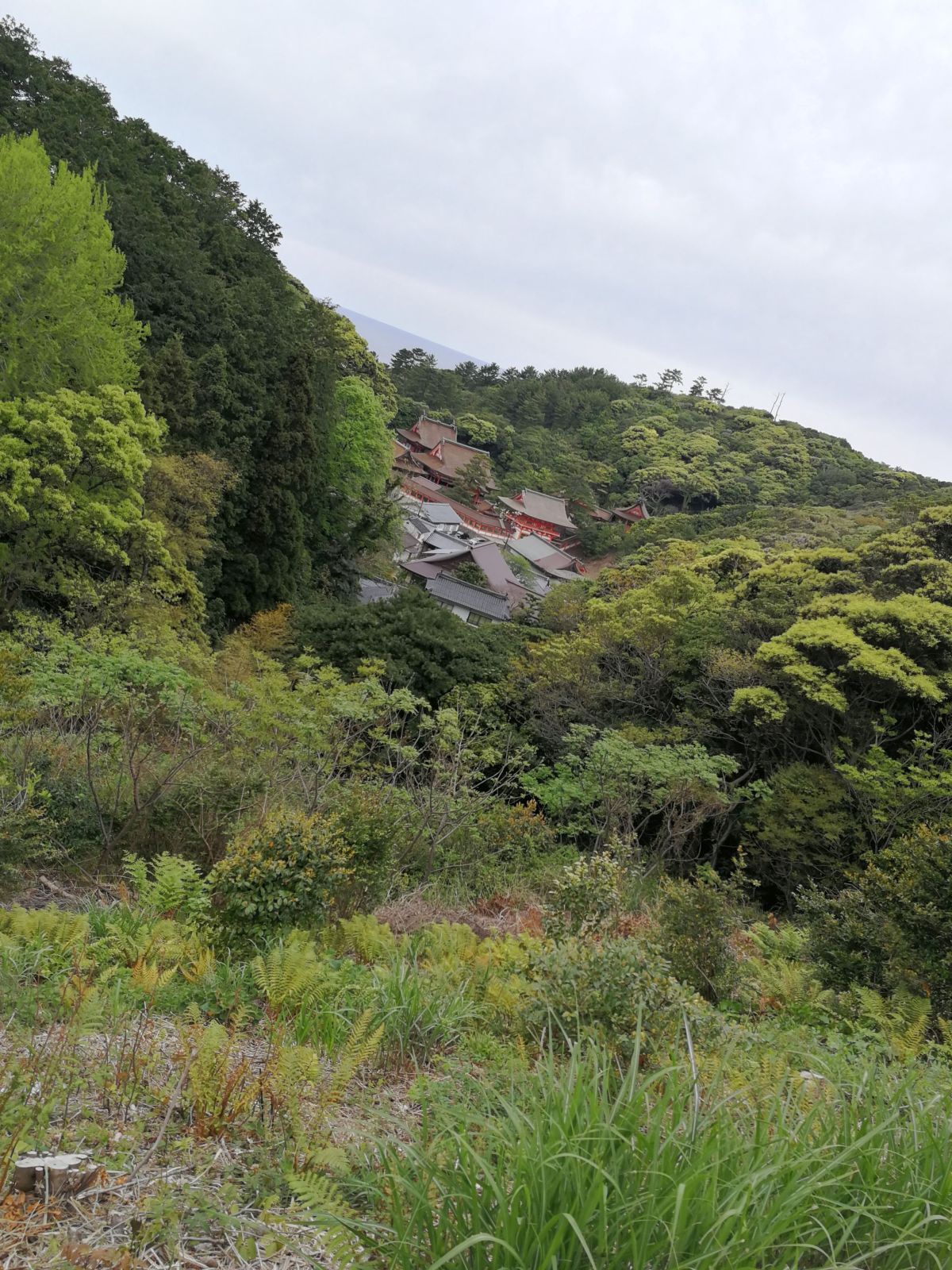 眼下に見える神社