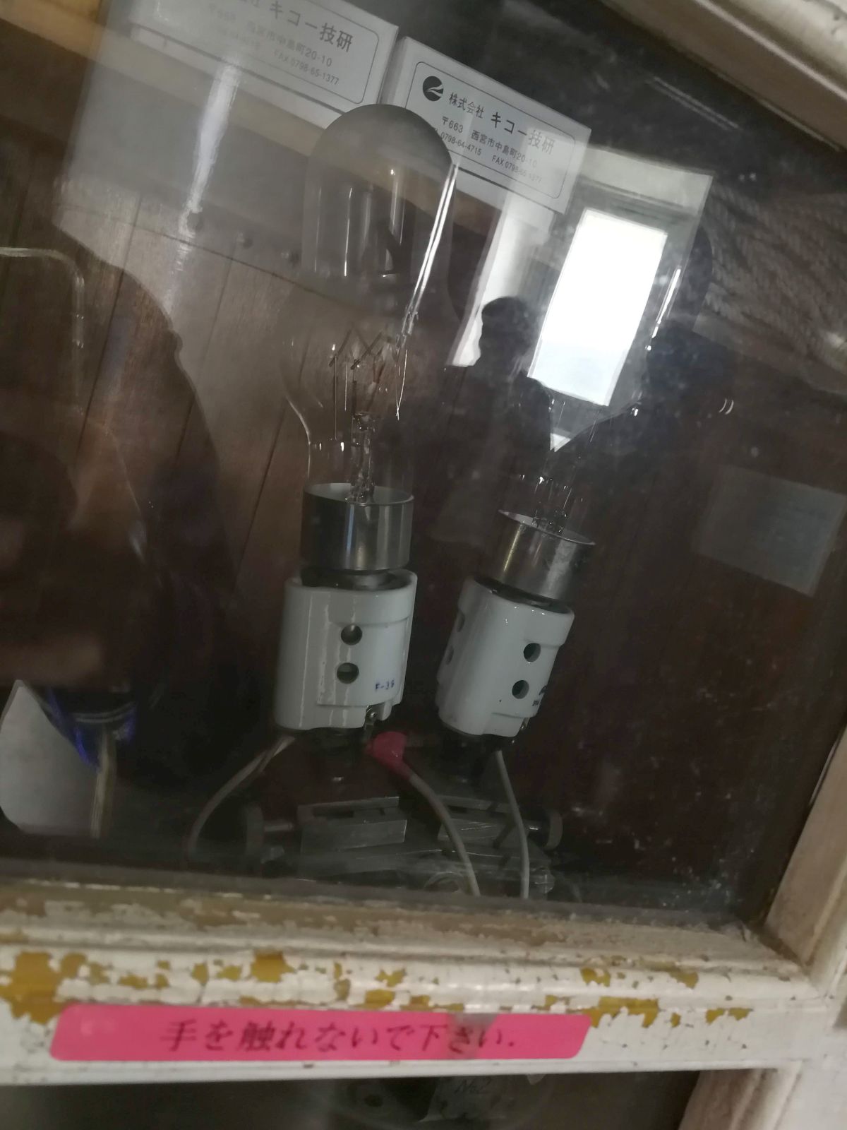 電球