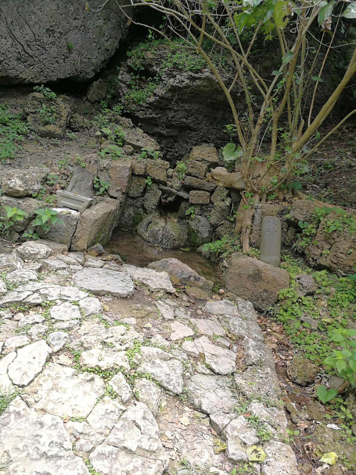 水槽と基壇