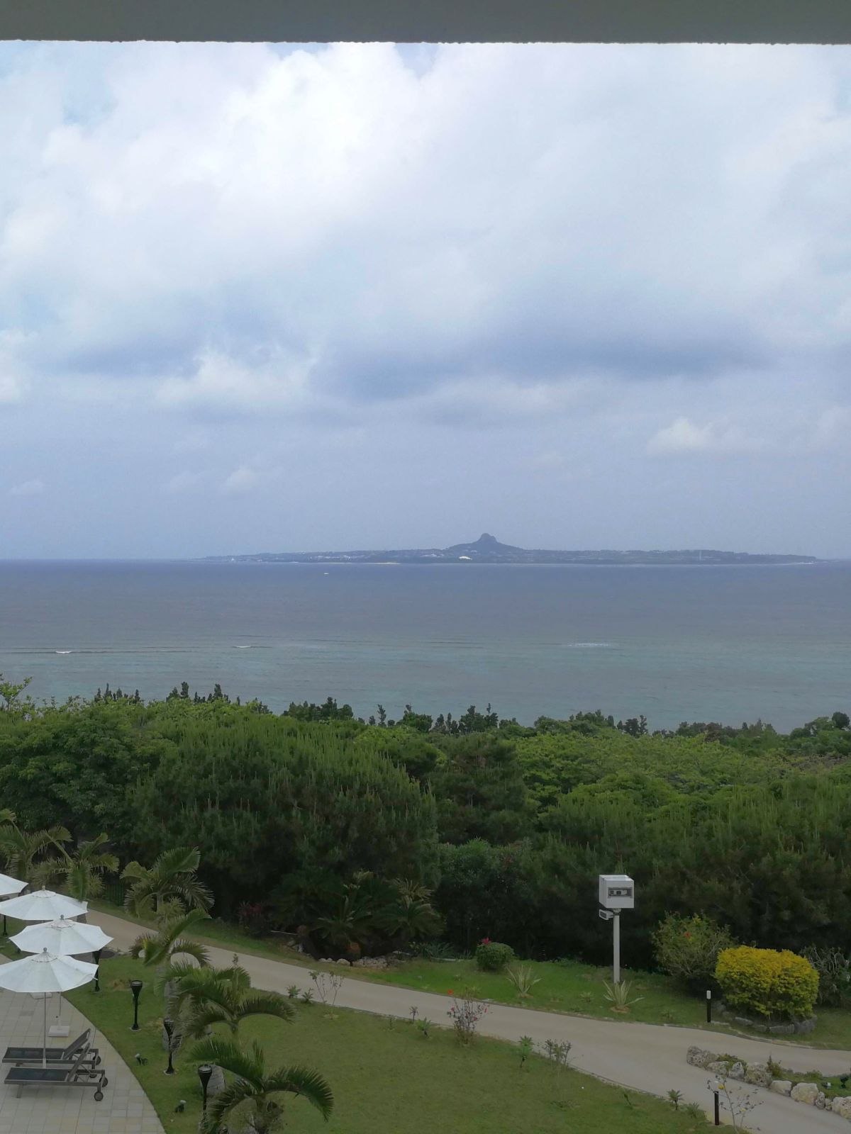 本日の朝の風景