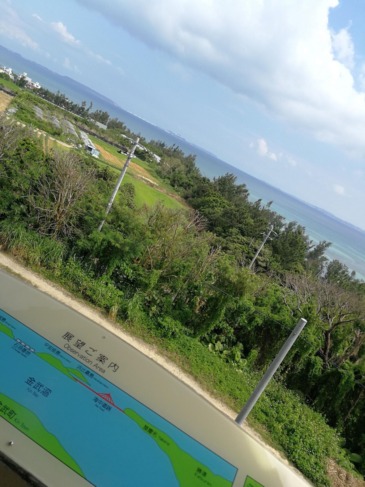 金武湾の風景