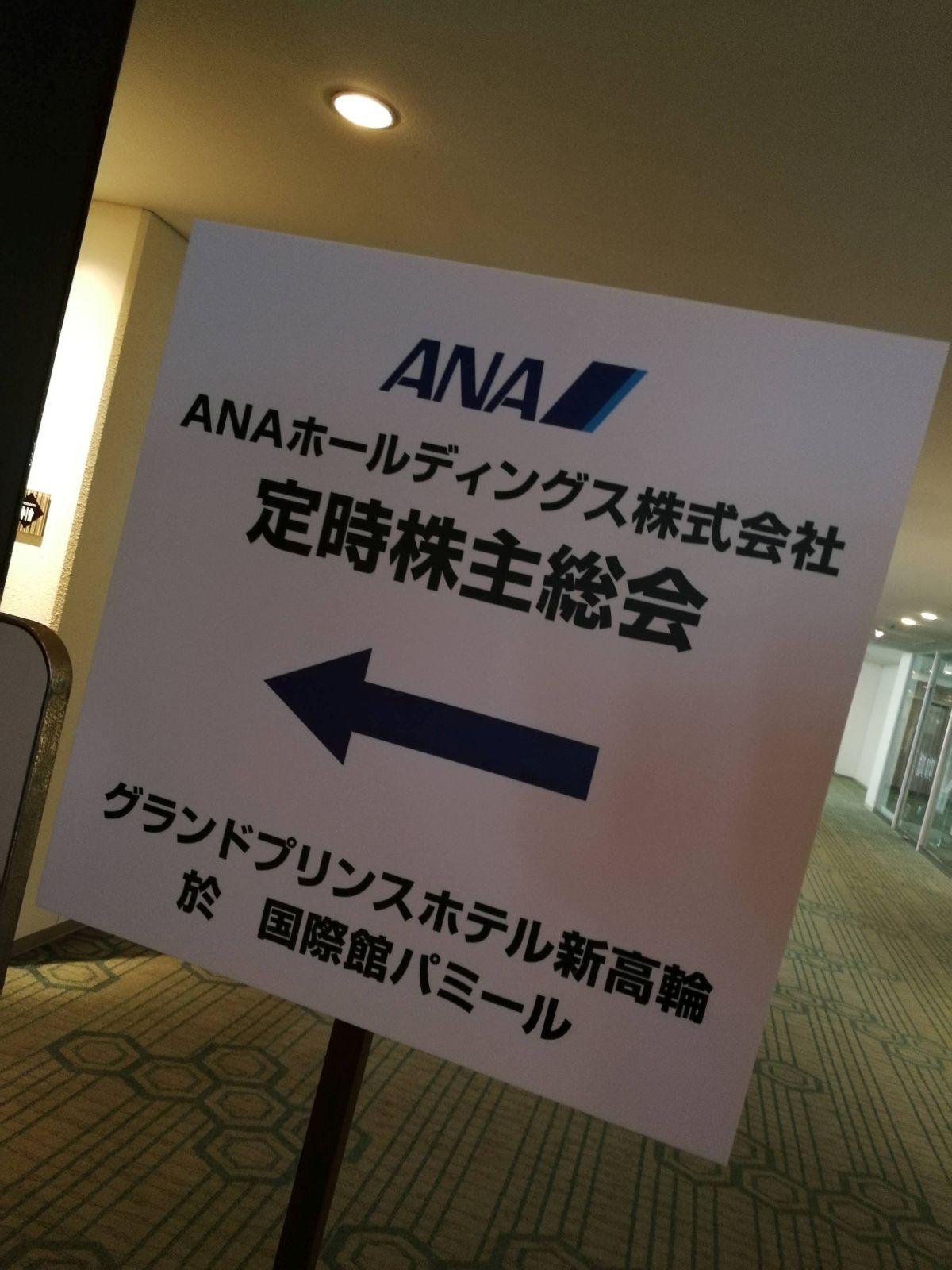 ANAホールディングス株主総会 定時株主総会