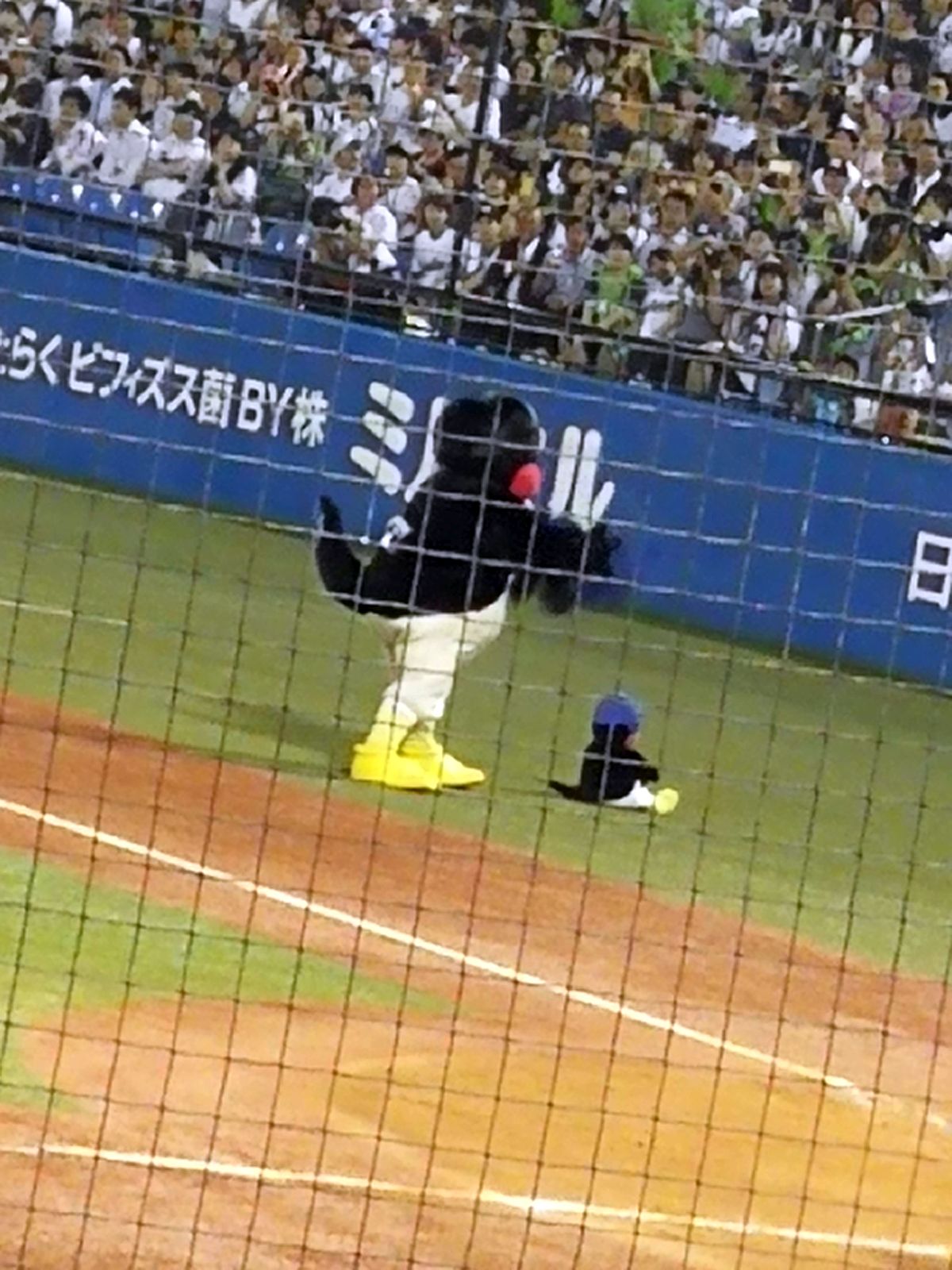 本日のヘルメット芸