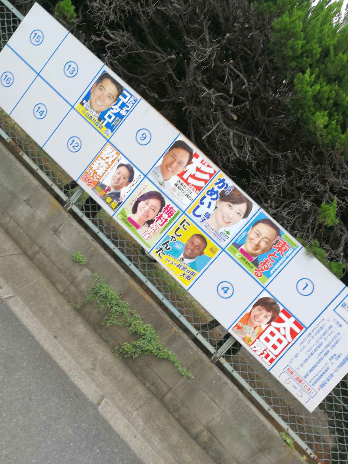 選挙ポスター掲示板