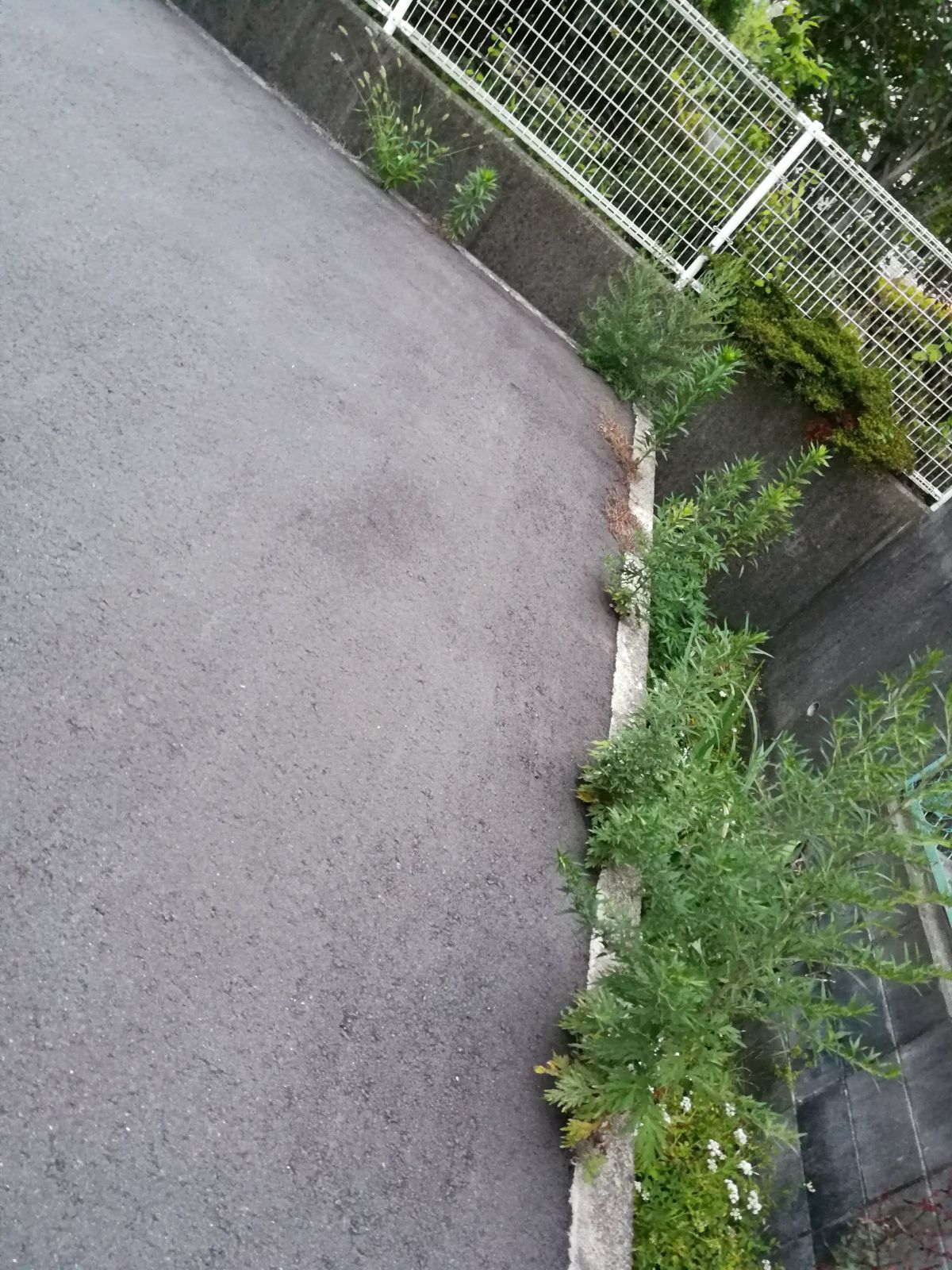 ４ヶ月ぶりの駐車場