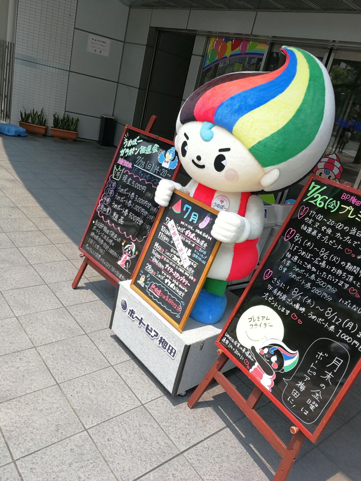 本日のおみくじ会場
