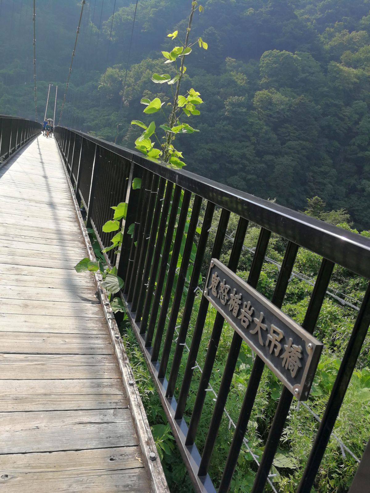 鬼怒楯岩大吊橋