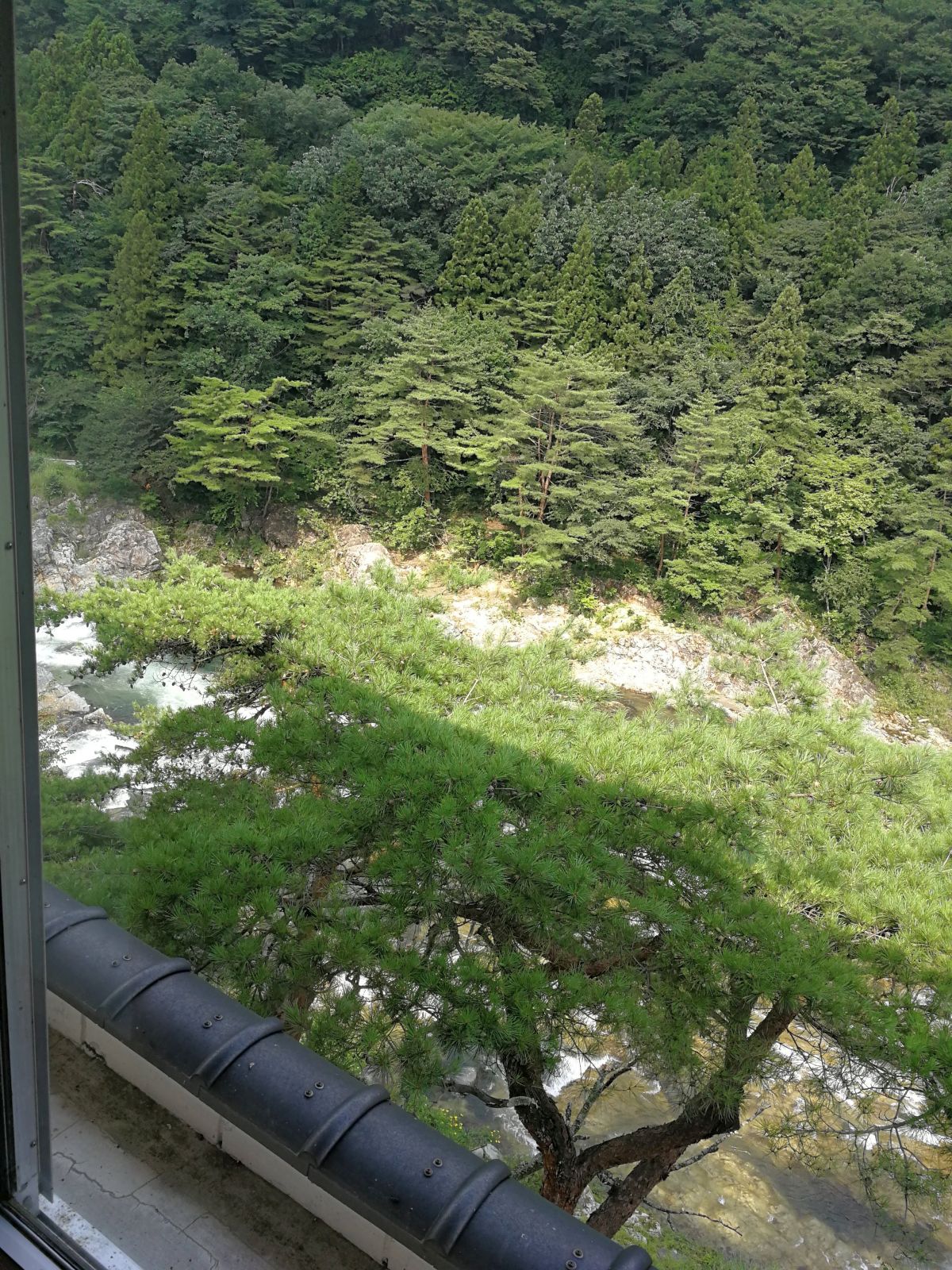眼下の風景