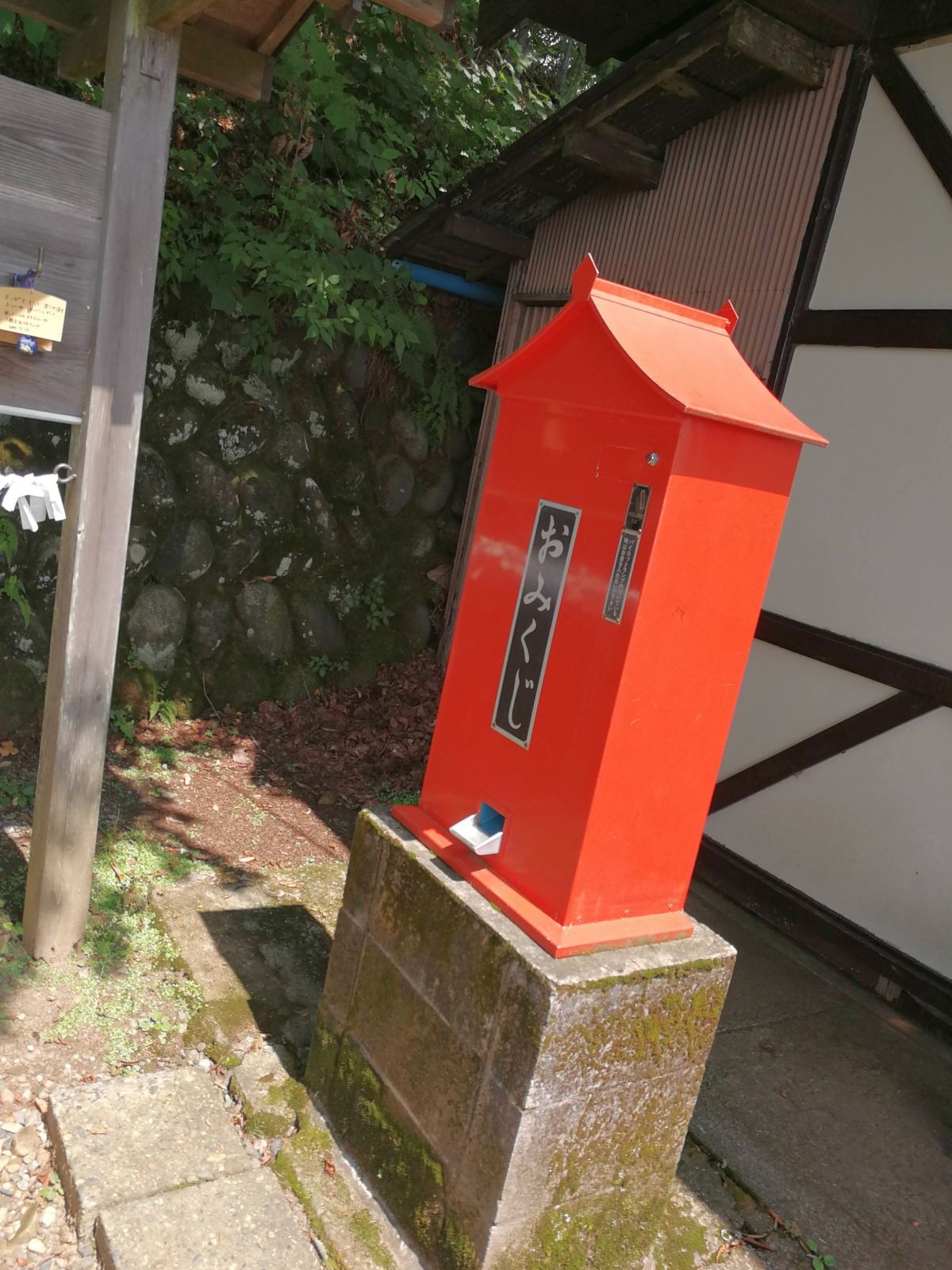 おみくじ発見