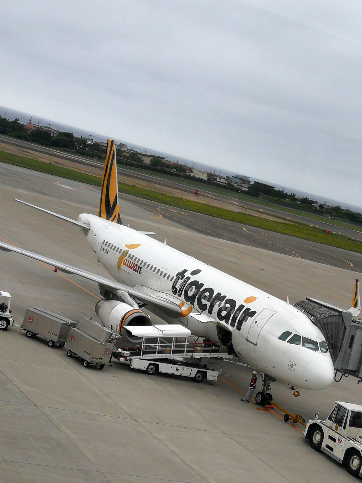 tigerair