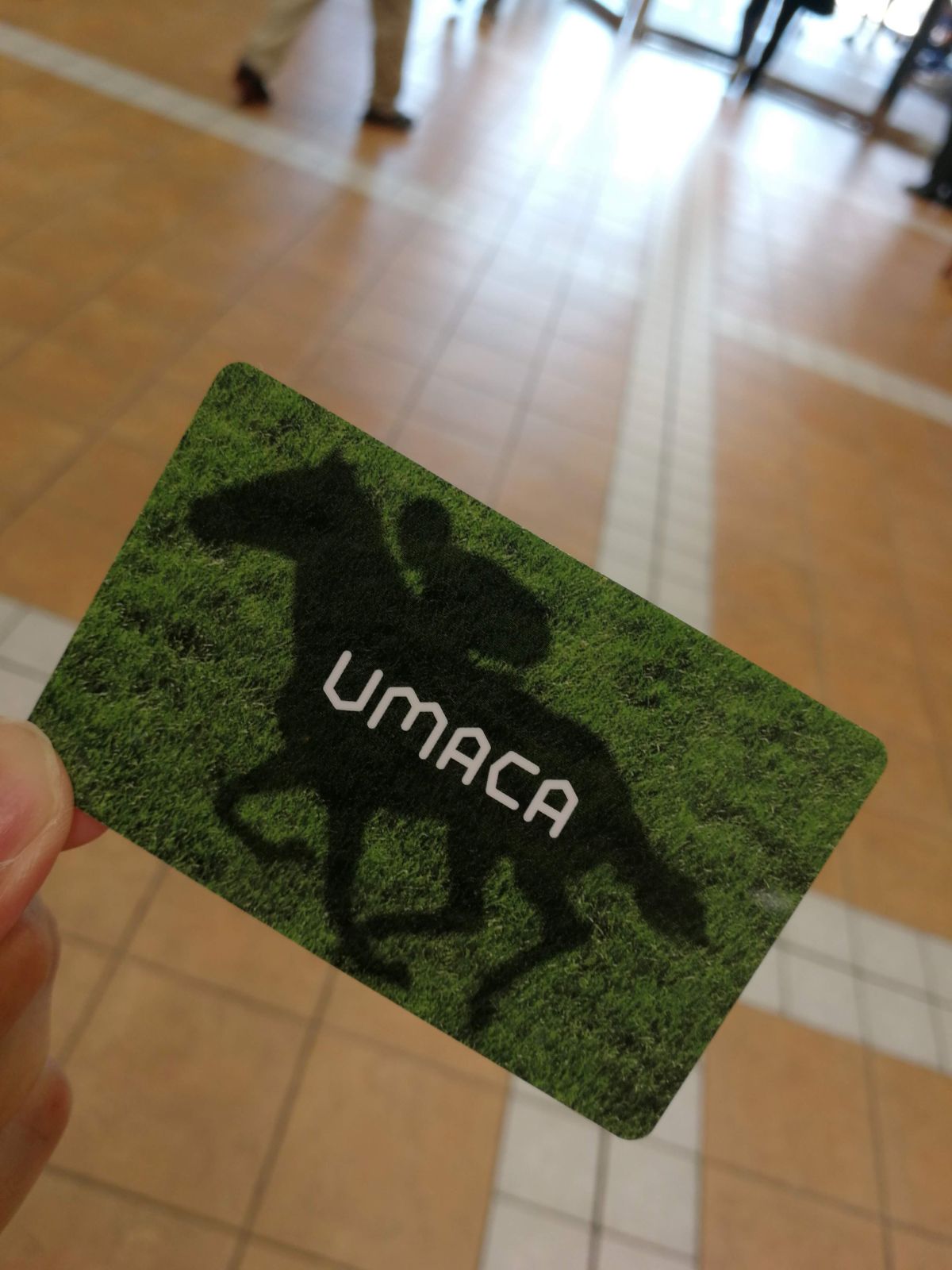 UMACA入手