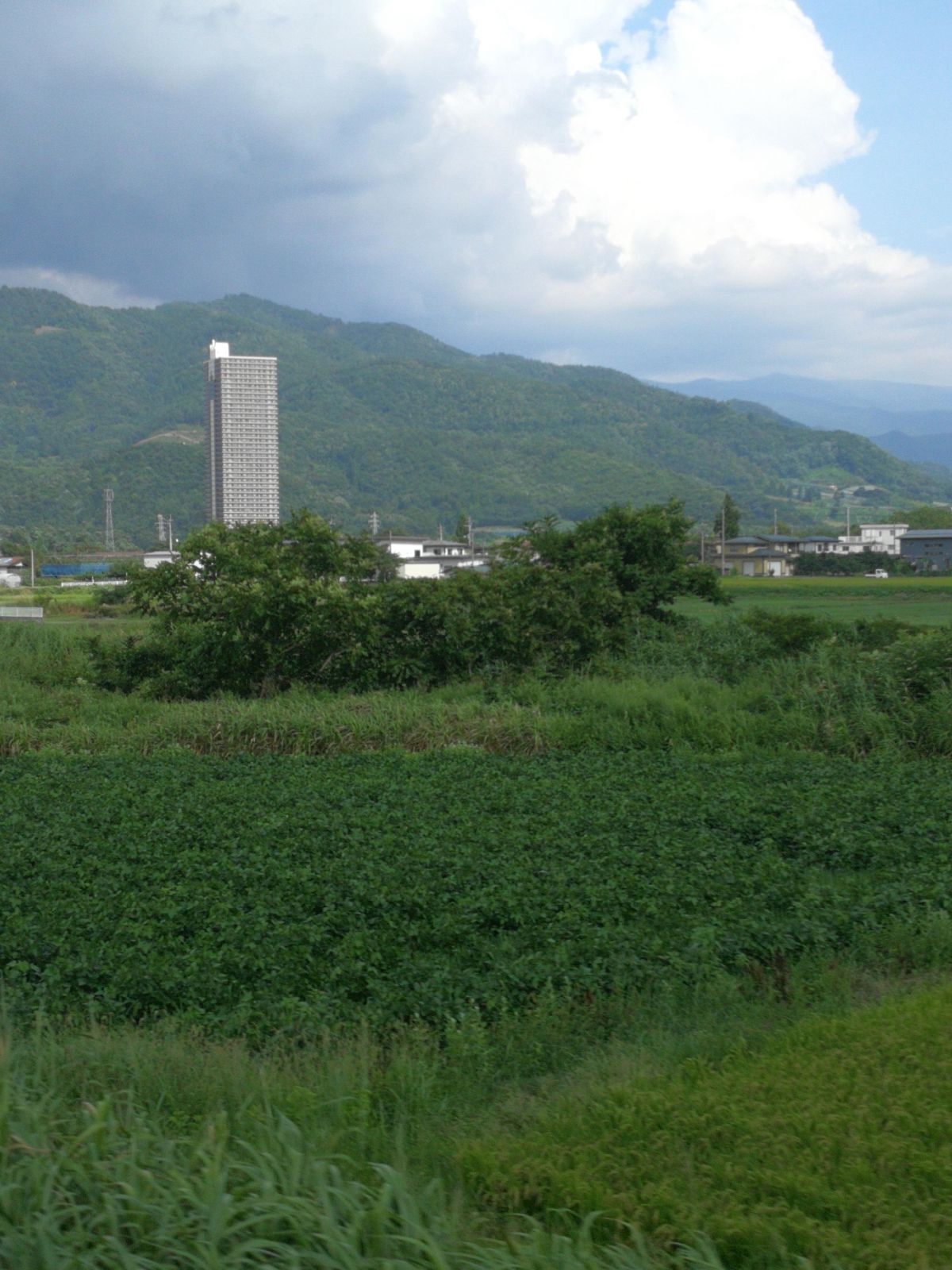 高層ビル