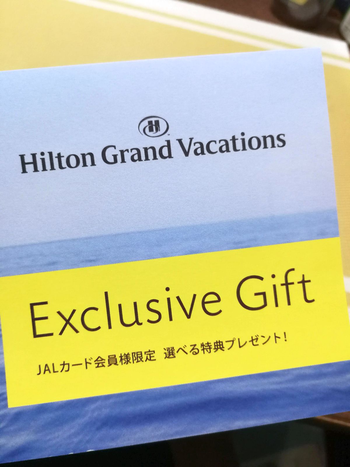 Exclusive Gift
