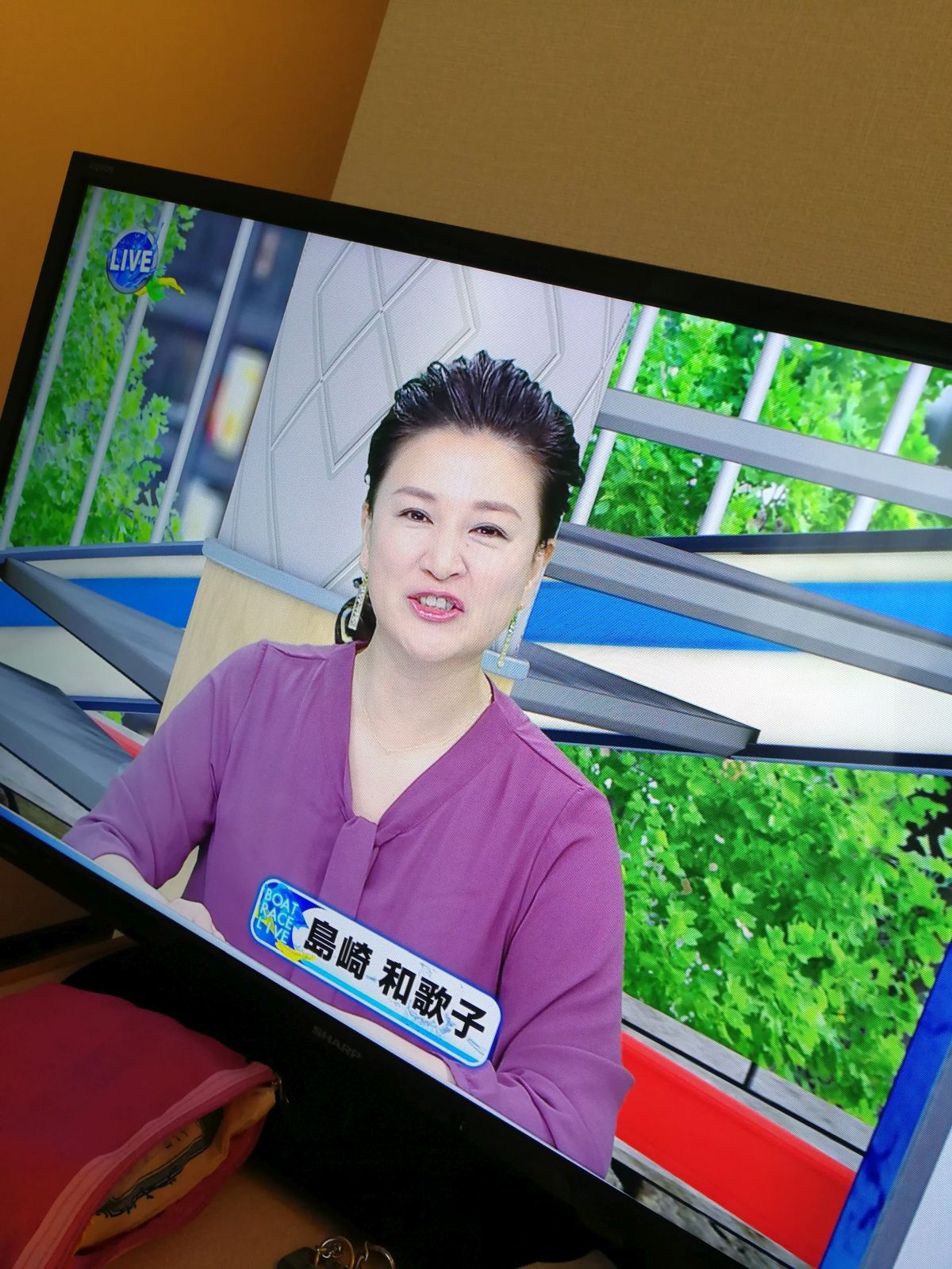 本日の島崎和歌子