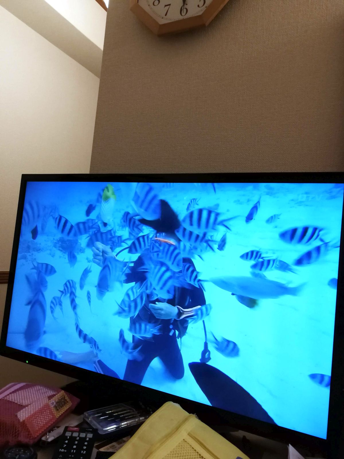 水中芸の映像