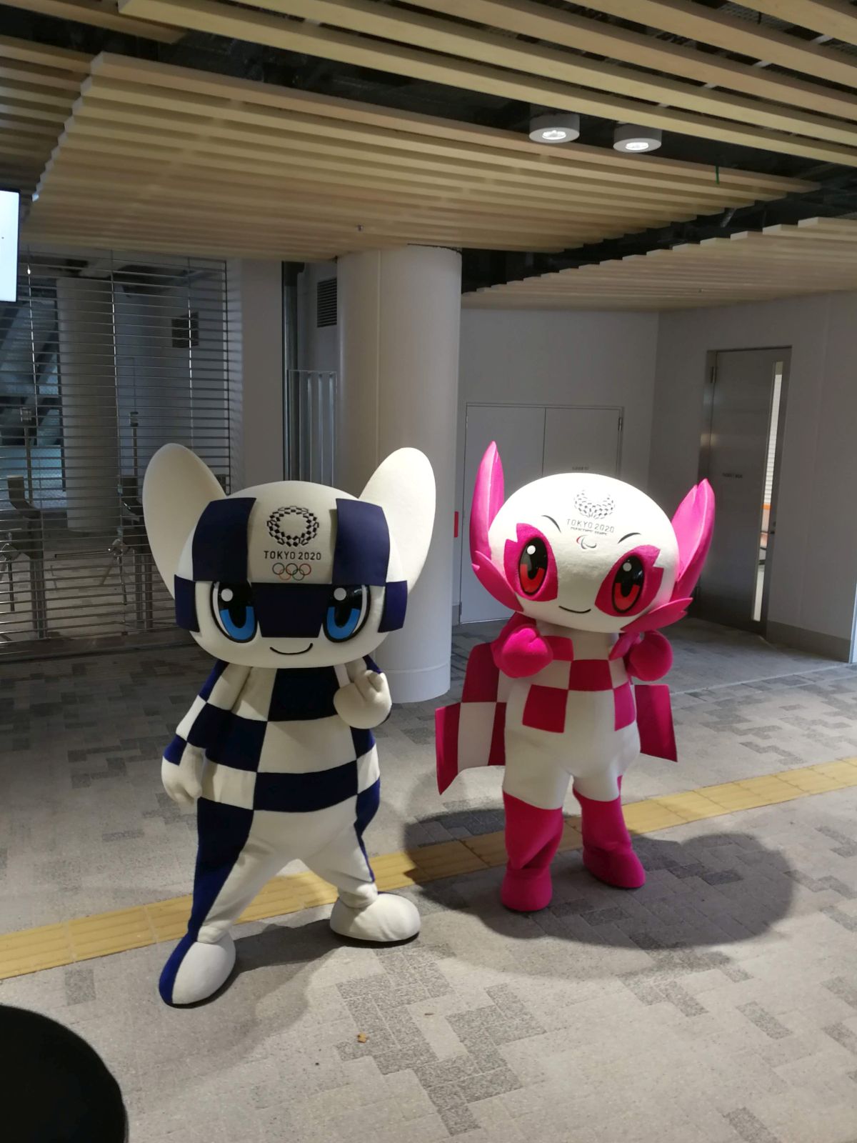 ミライトワとソメイティ
