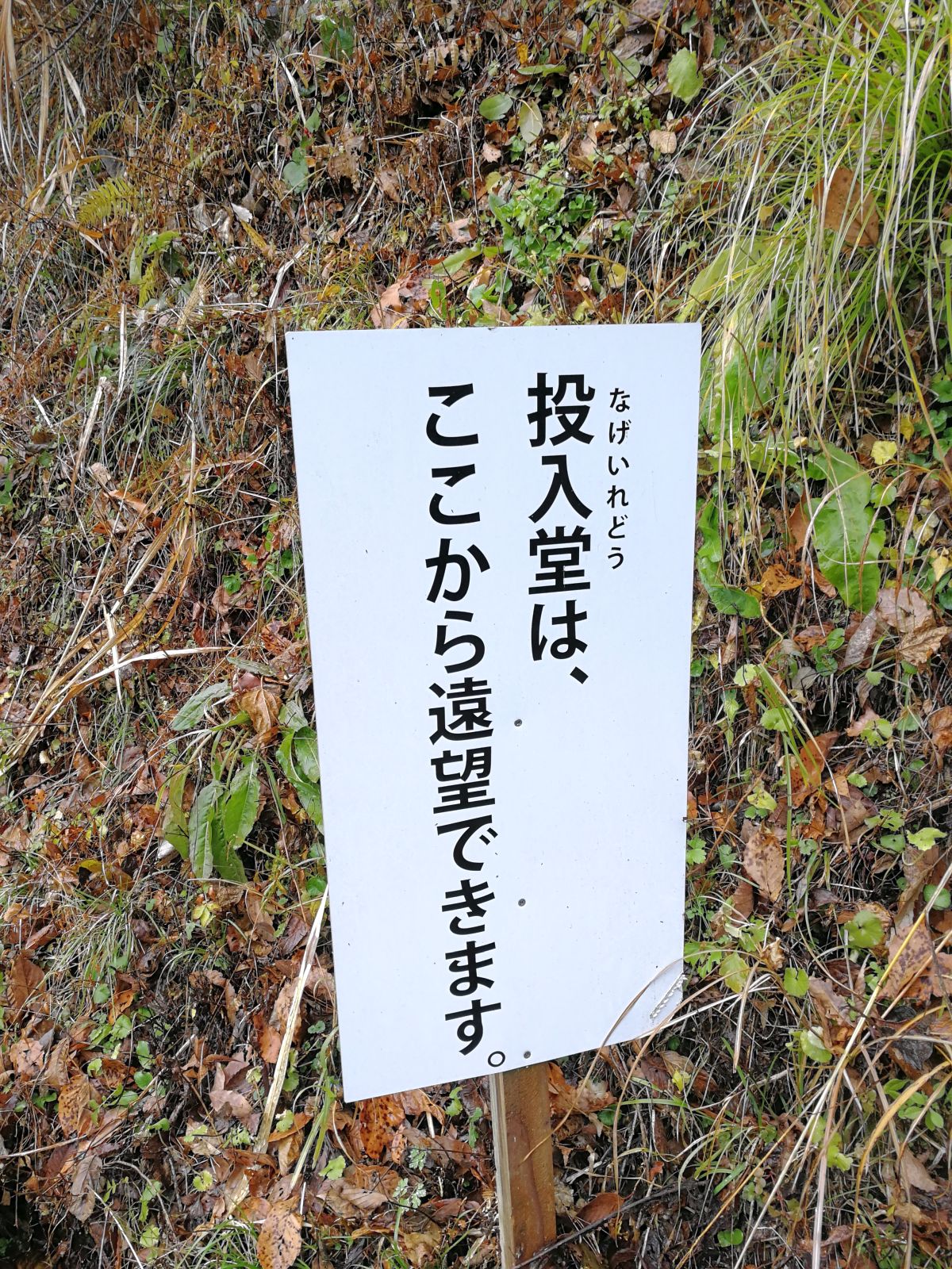 投入堂は、ここから遠望できます。