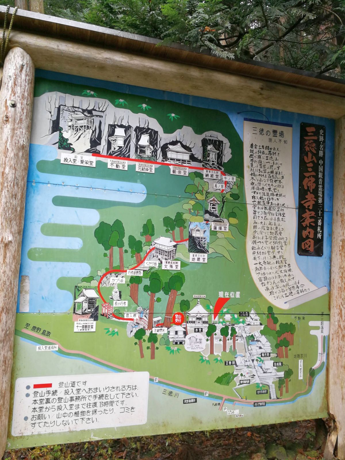 ゴールは国宝