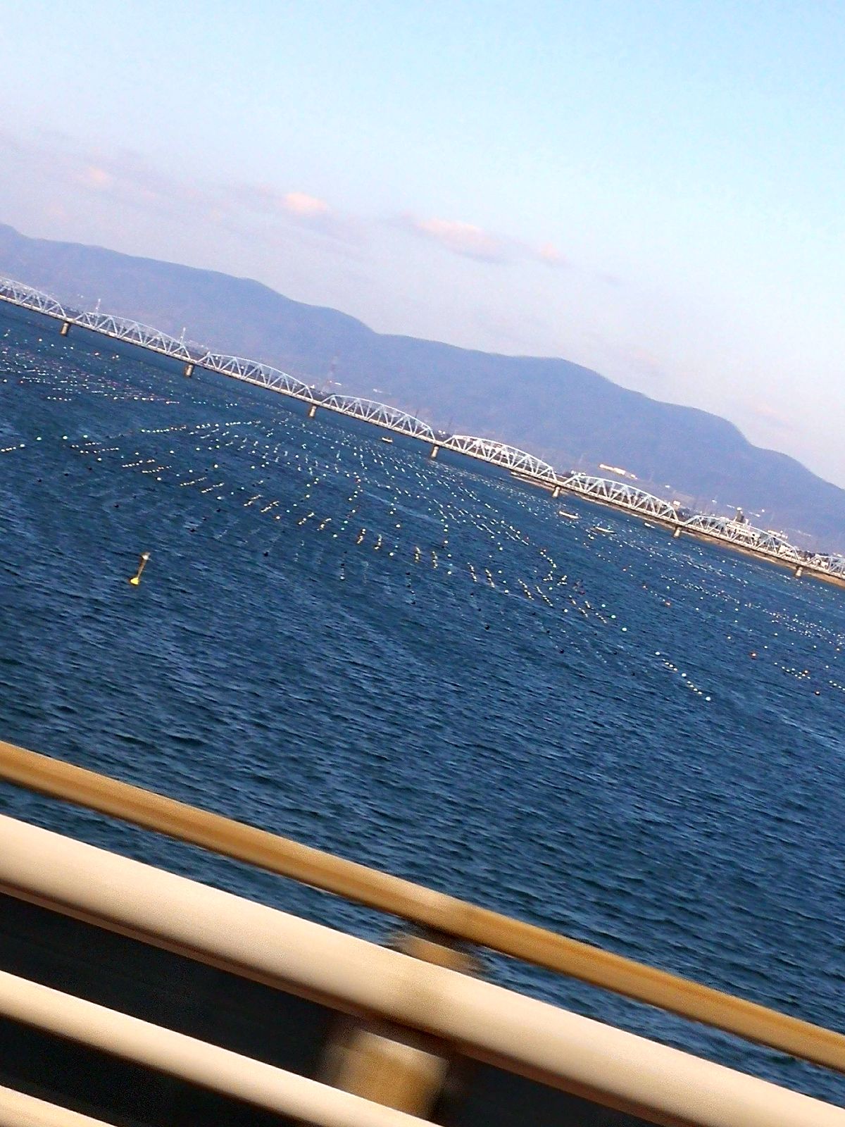 川の浮き物