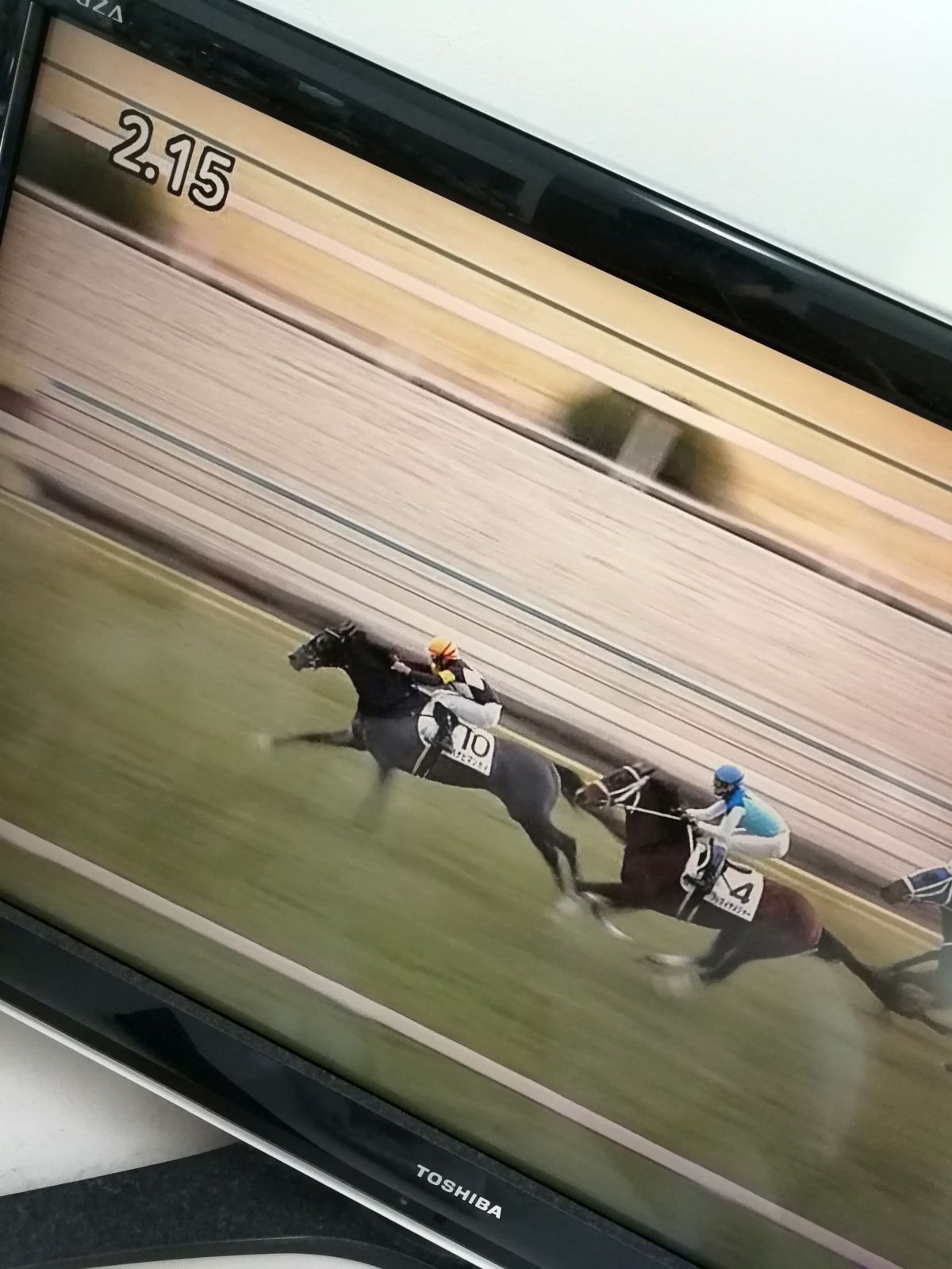 本日の京都競馬場