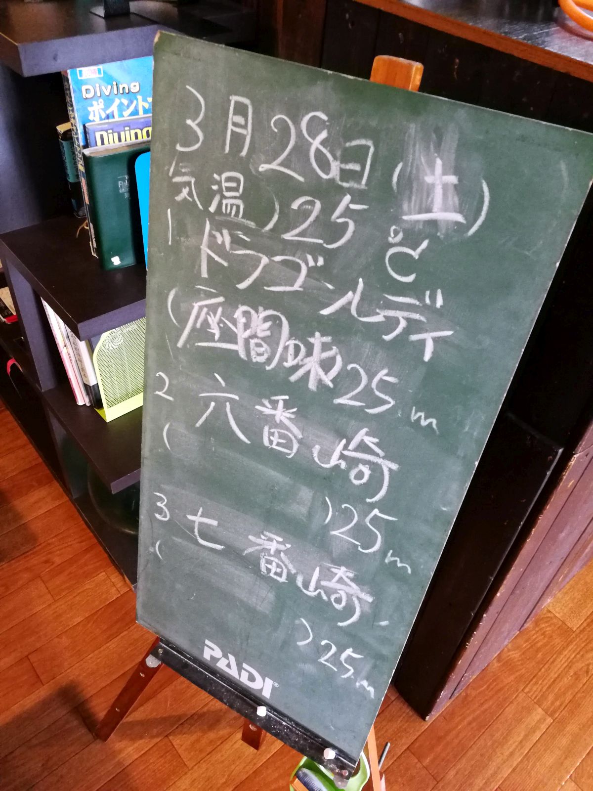 本日のポイント